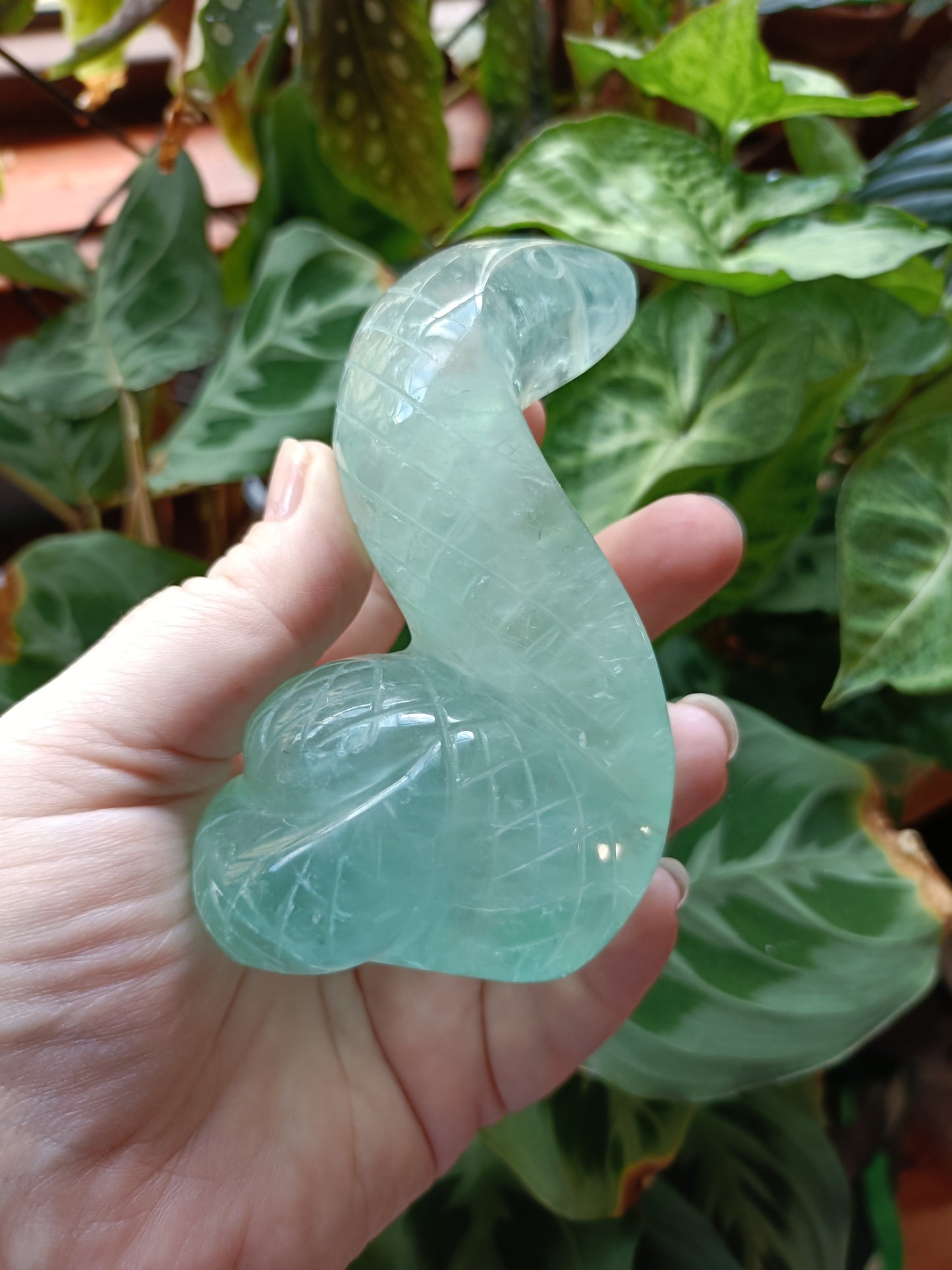 Green Fluorite Cobra - 408g