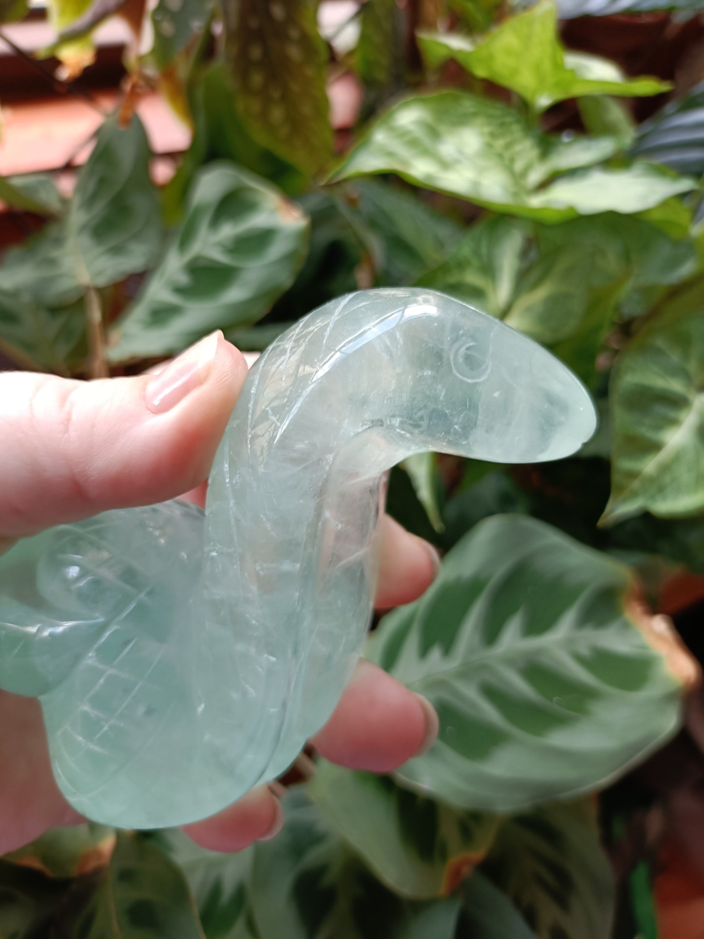 Green Fluorite Cobra - 408g