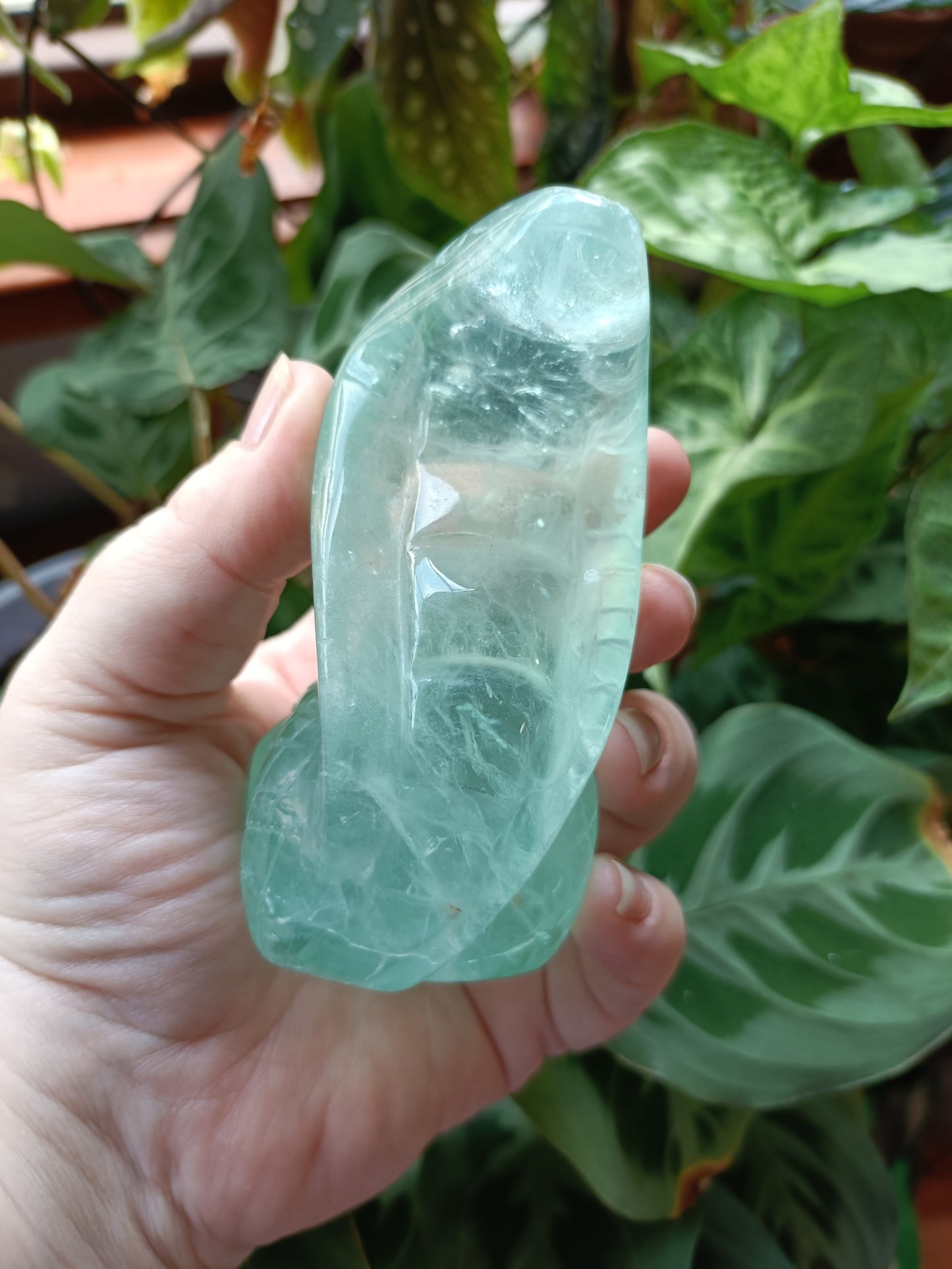Green Fluorite Cobra - 408g