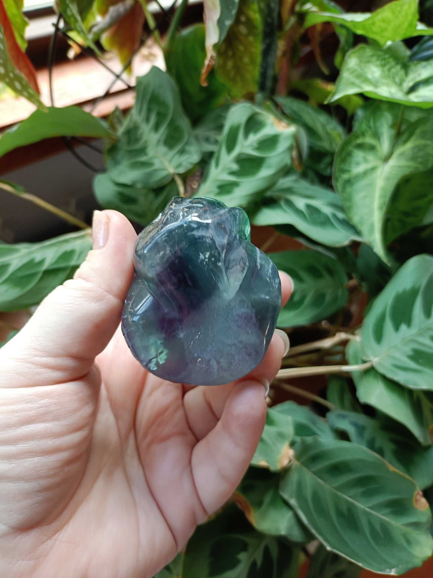 Rainbow Fluorite Cobra - 337g