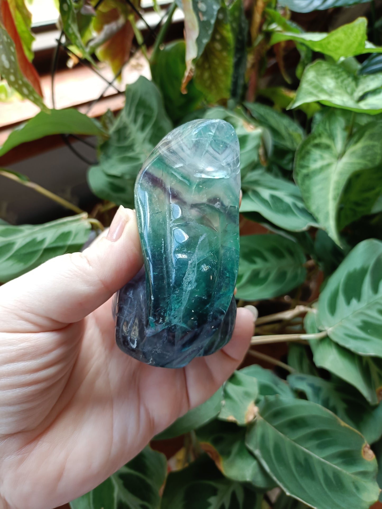 Rainbow Fluorite Cobra - 337g