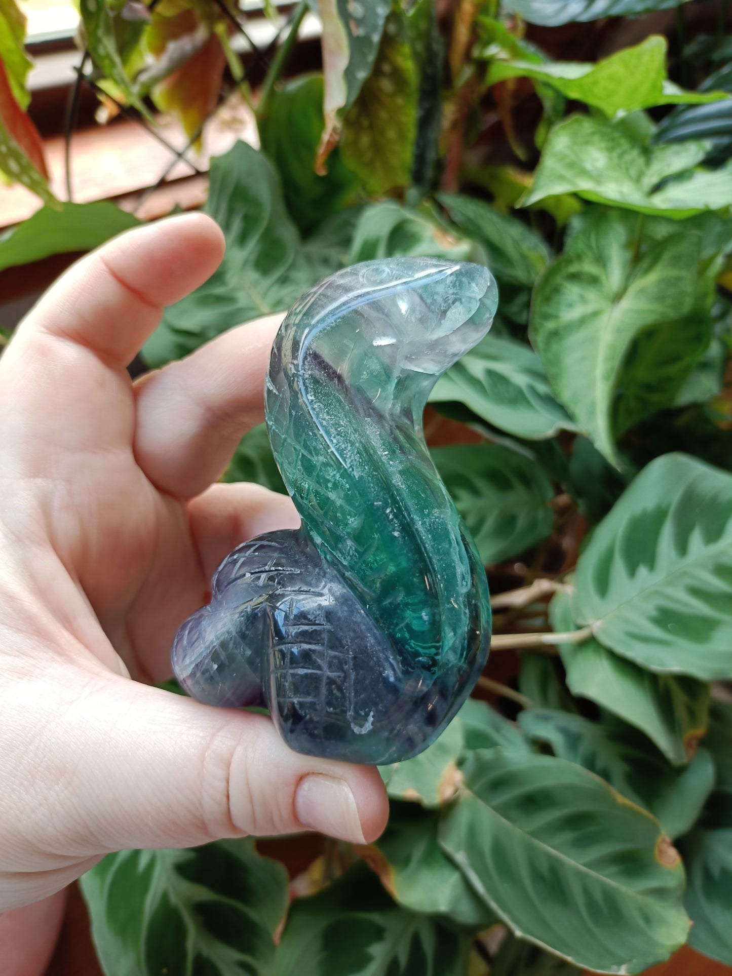 Rainbow Fluorite Cobra - 337g