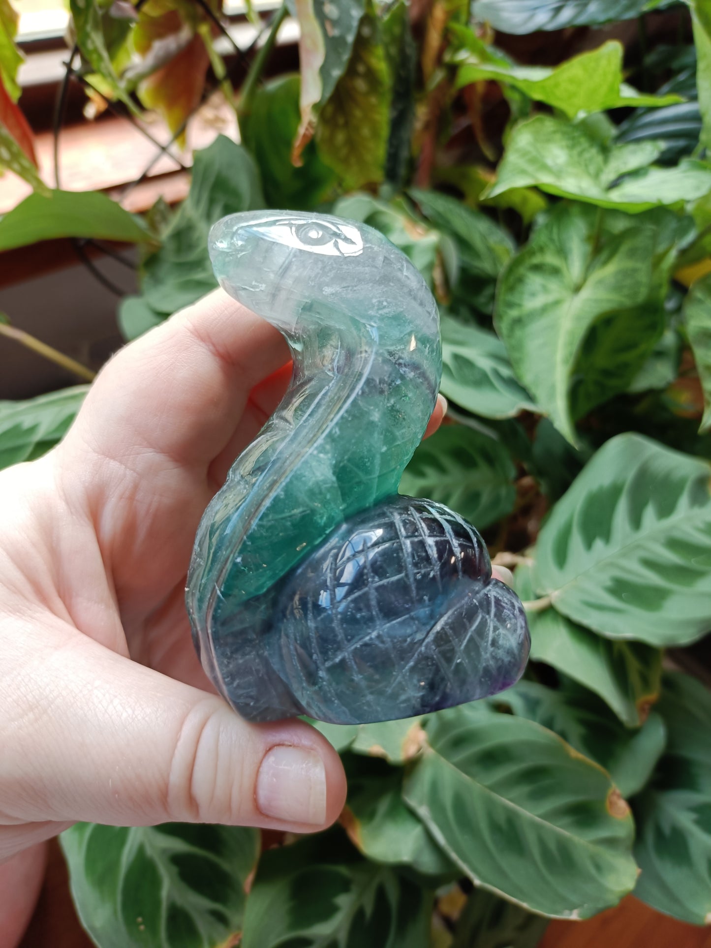Rainbow Fluorite Cobra - 337g