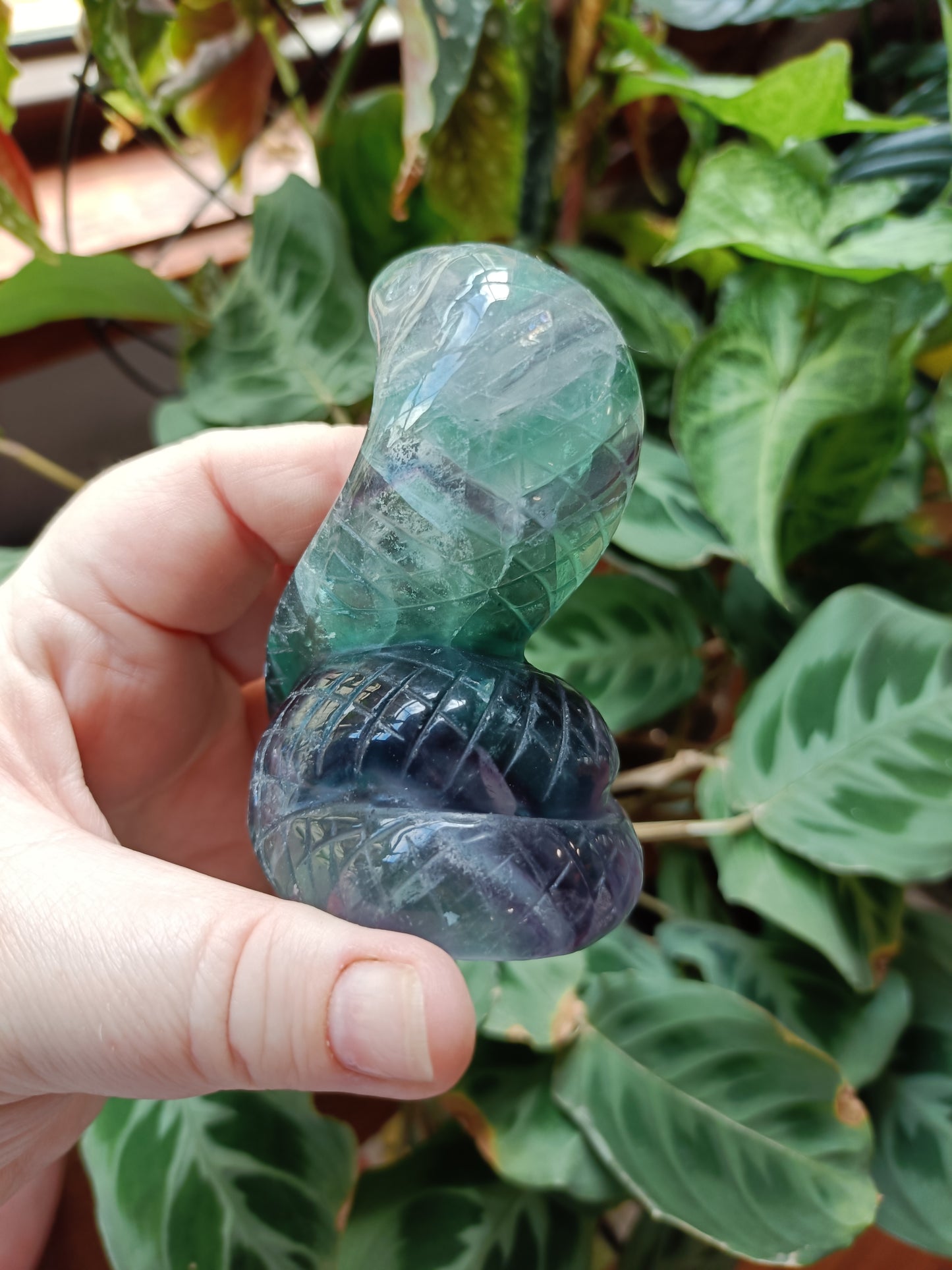 Rainbow Fluorite Cobra - 337g