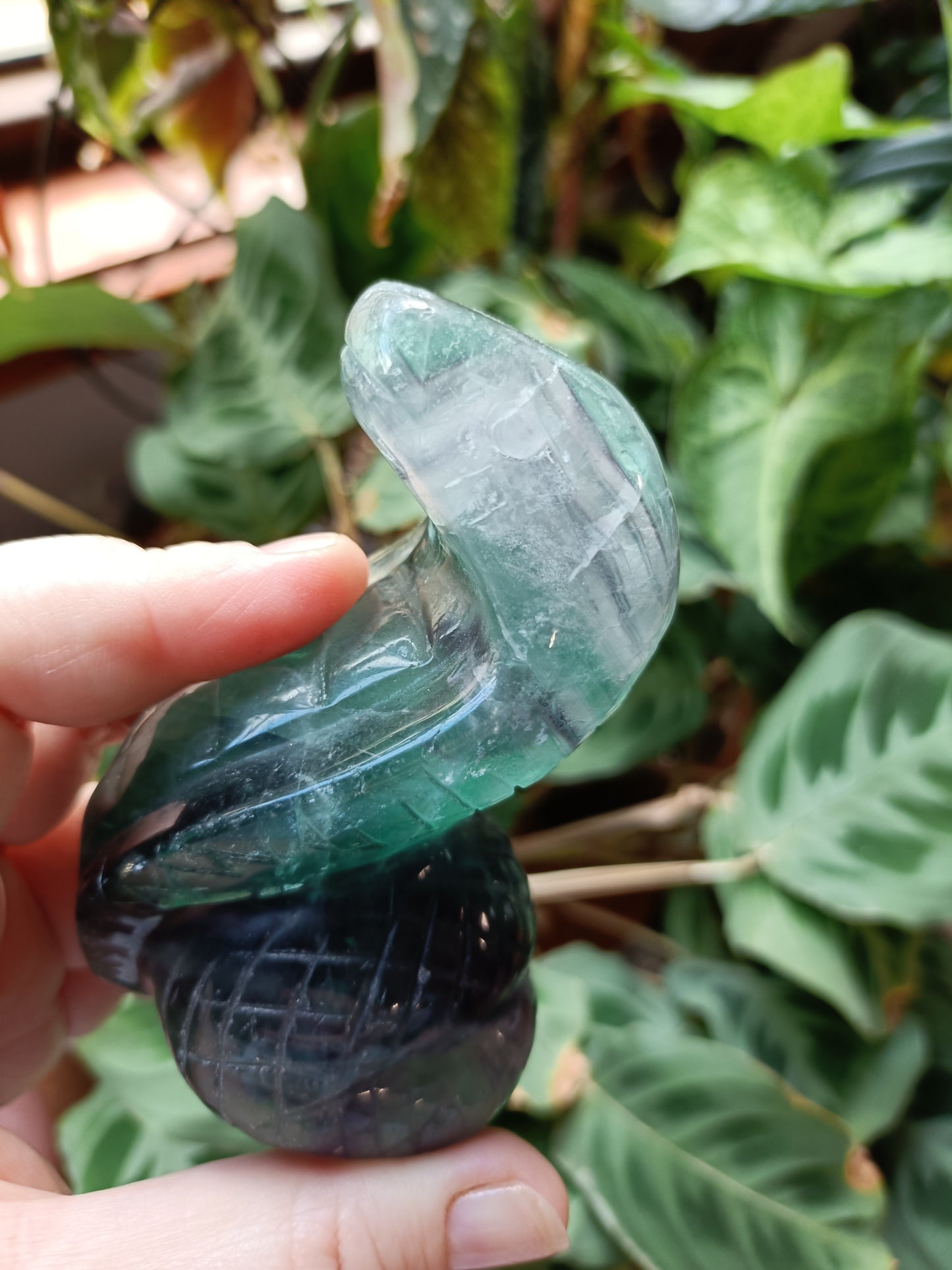 Rainbow Fluorite Cobra - 337g