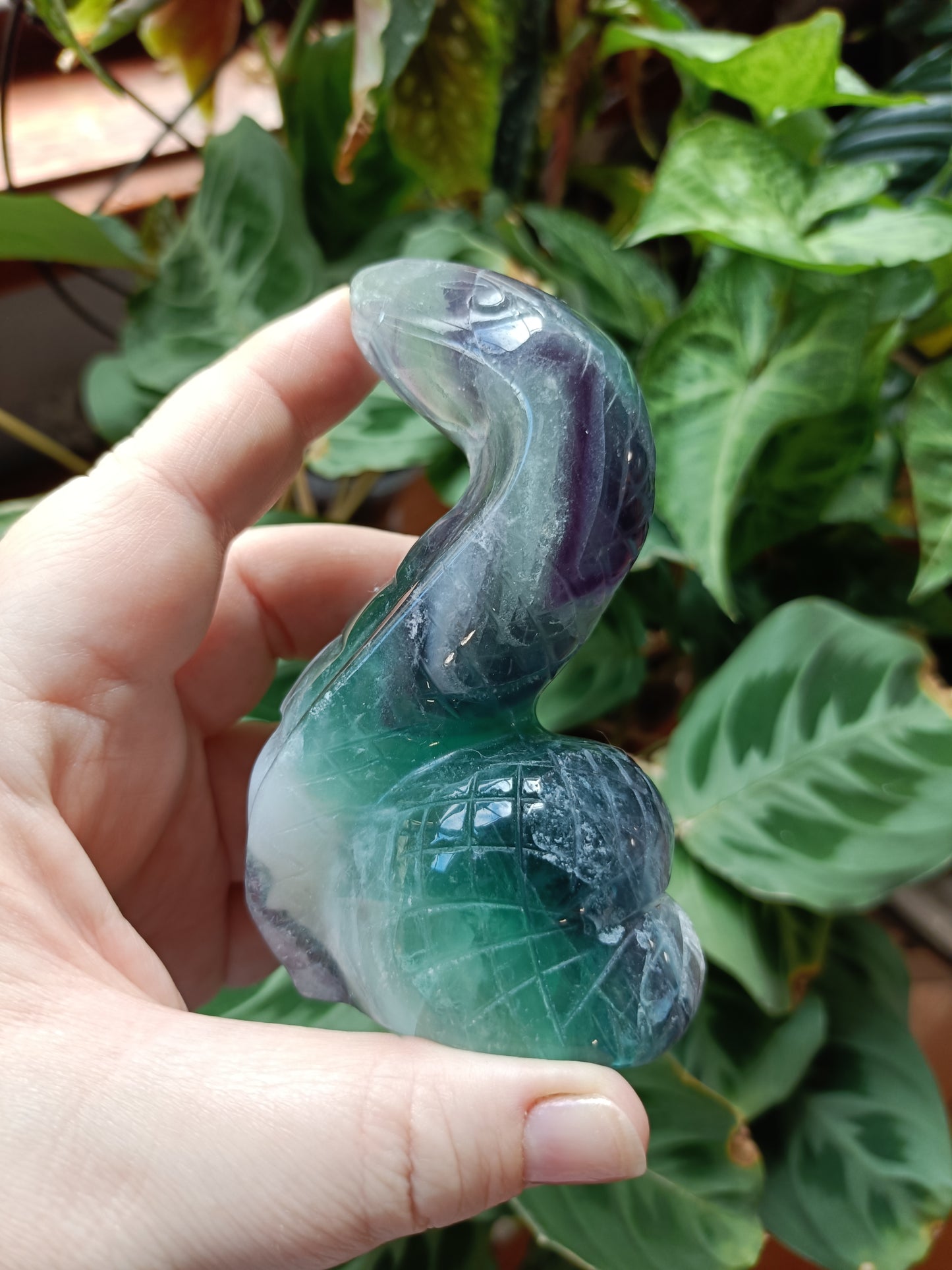 Rainbow Fluorite Cobra - 360g