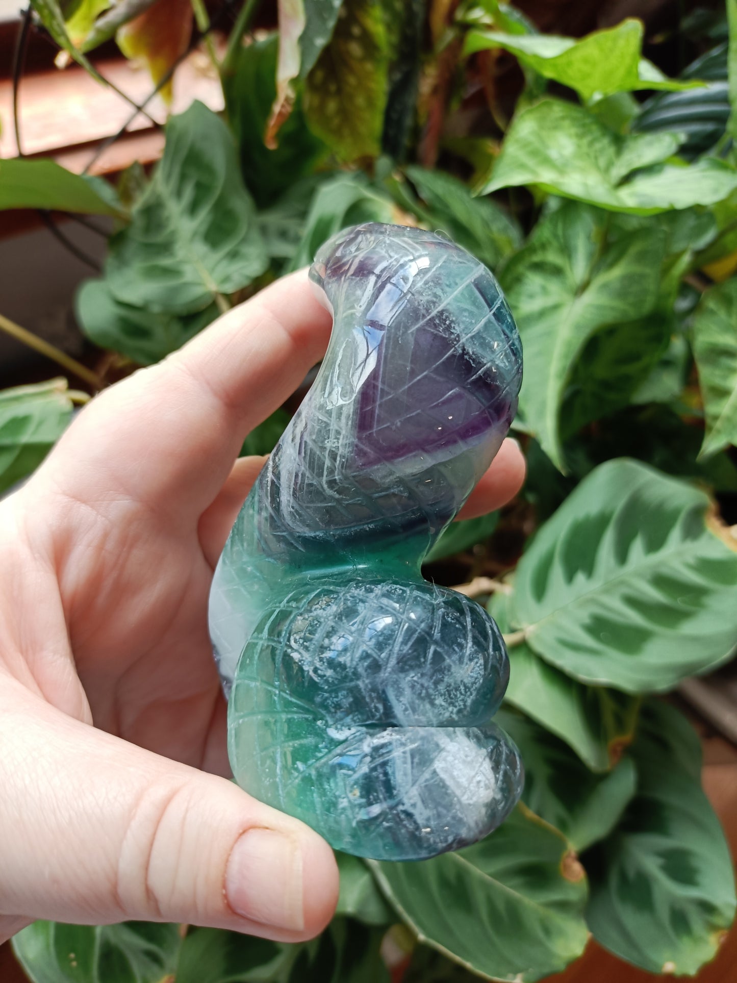 Rainbow Fluorite Cobra - 360g