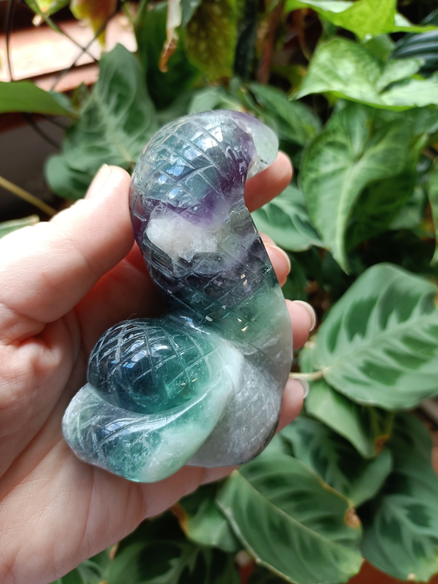 Rainbow Fluorite Cobra - 360g