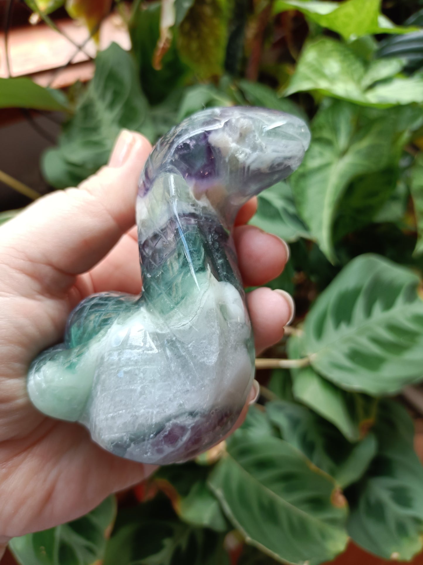 Rainbow Fluorite Cobra - 360g