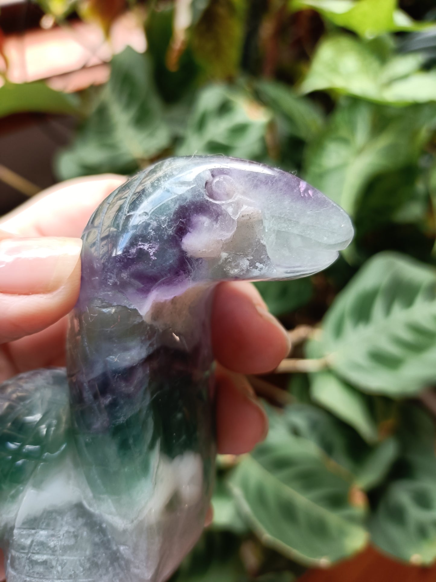 Rainbow Fluorite Cobra - 360g