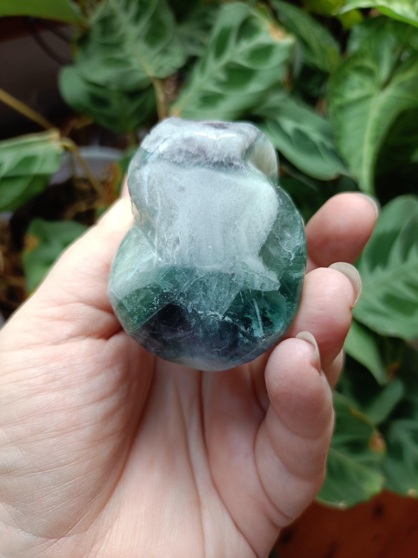 Rainbow Fluorite Cobra - 360g