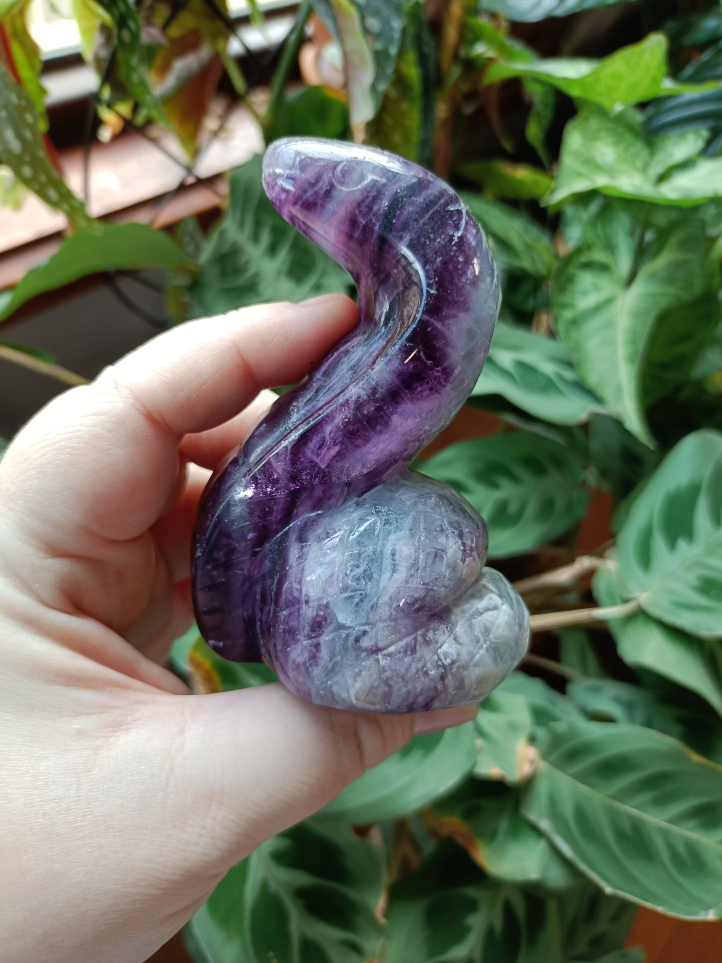 Rainbow Fluorite Cobra - 388g