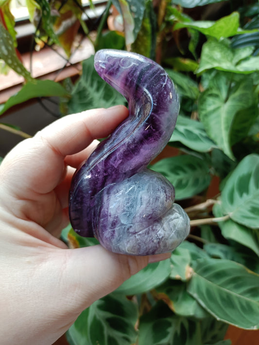 Rainbow Fluorite Cobra - 388g
