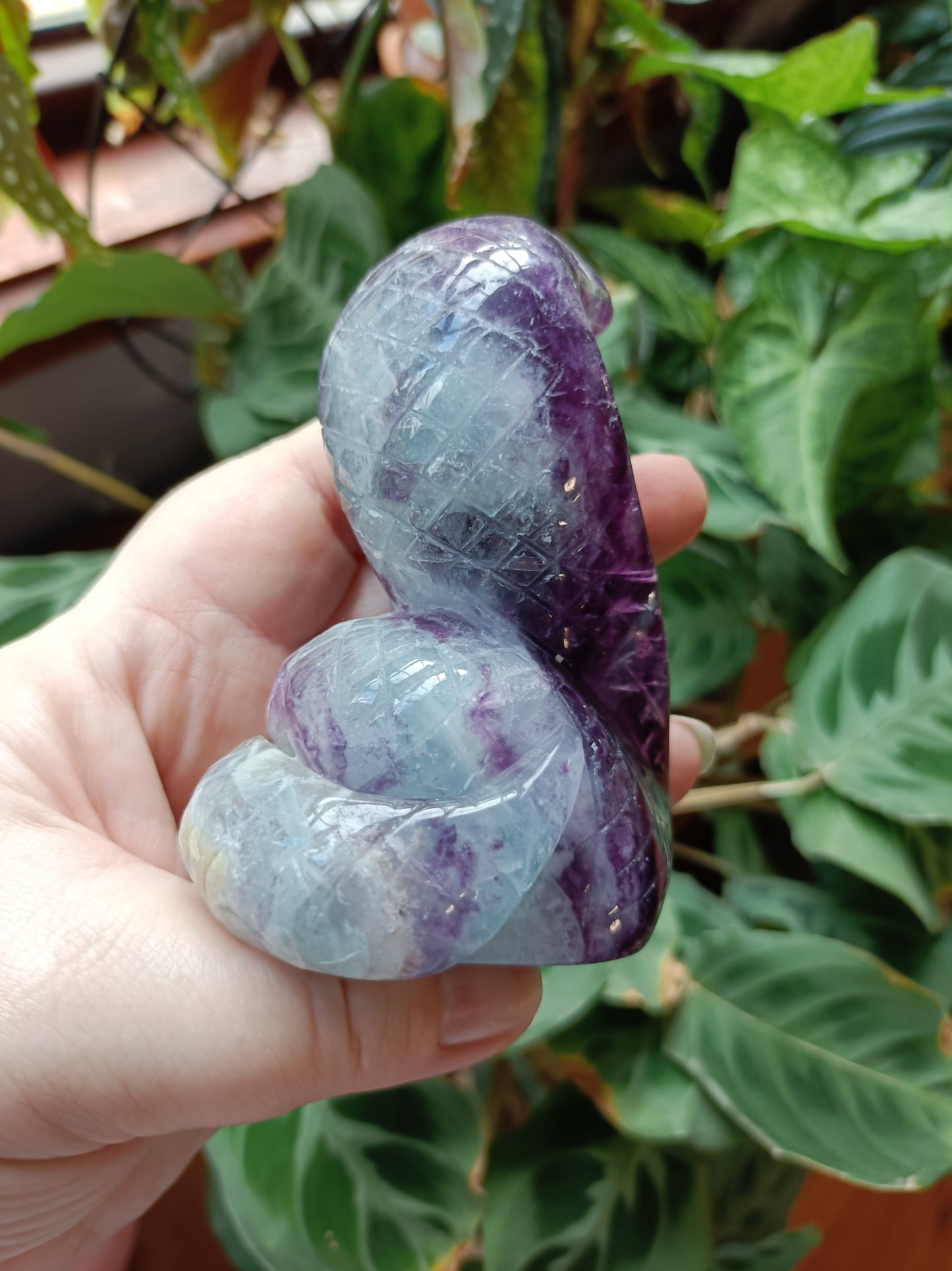 Rainbow Fluorite Cobra - 388g