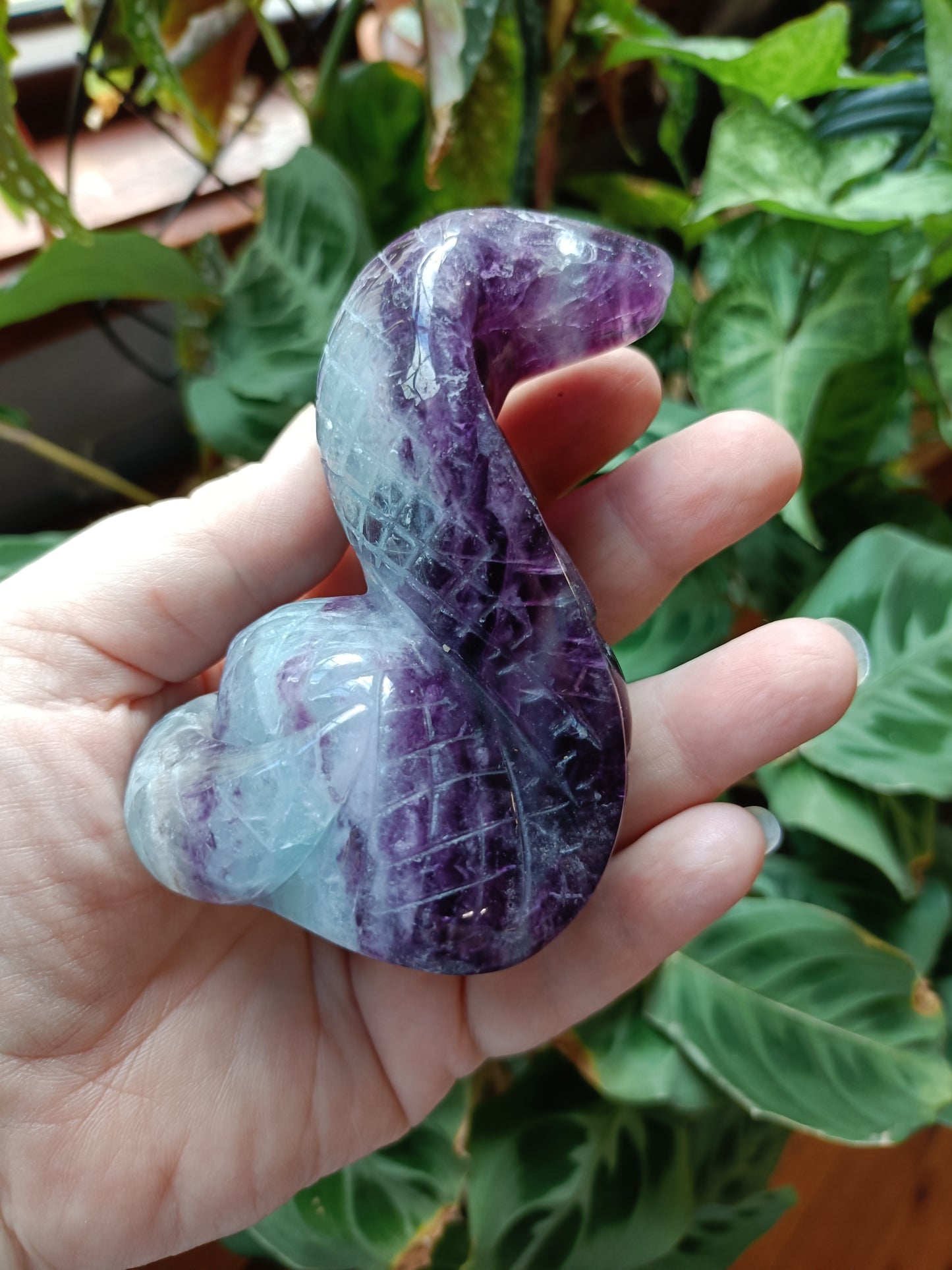 Rainbow Fluorite Cobra - 388g