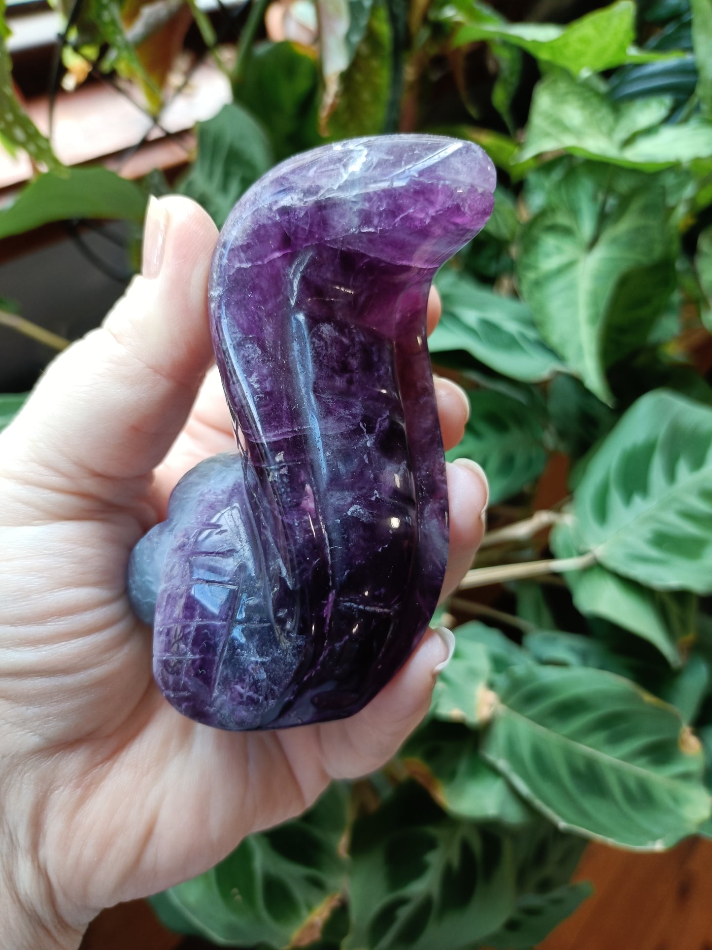 Rainbow Fluorite Cobra - 388g