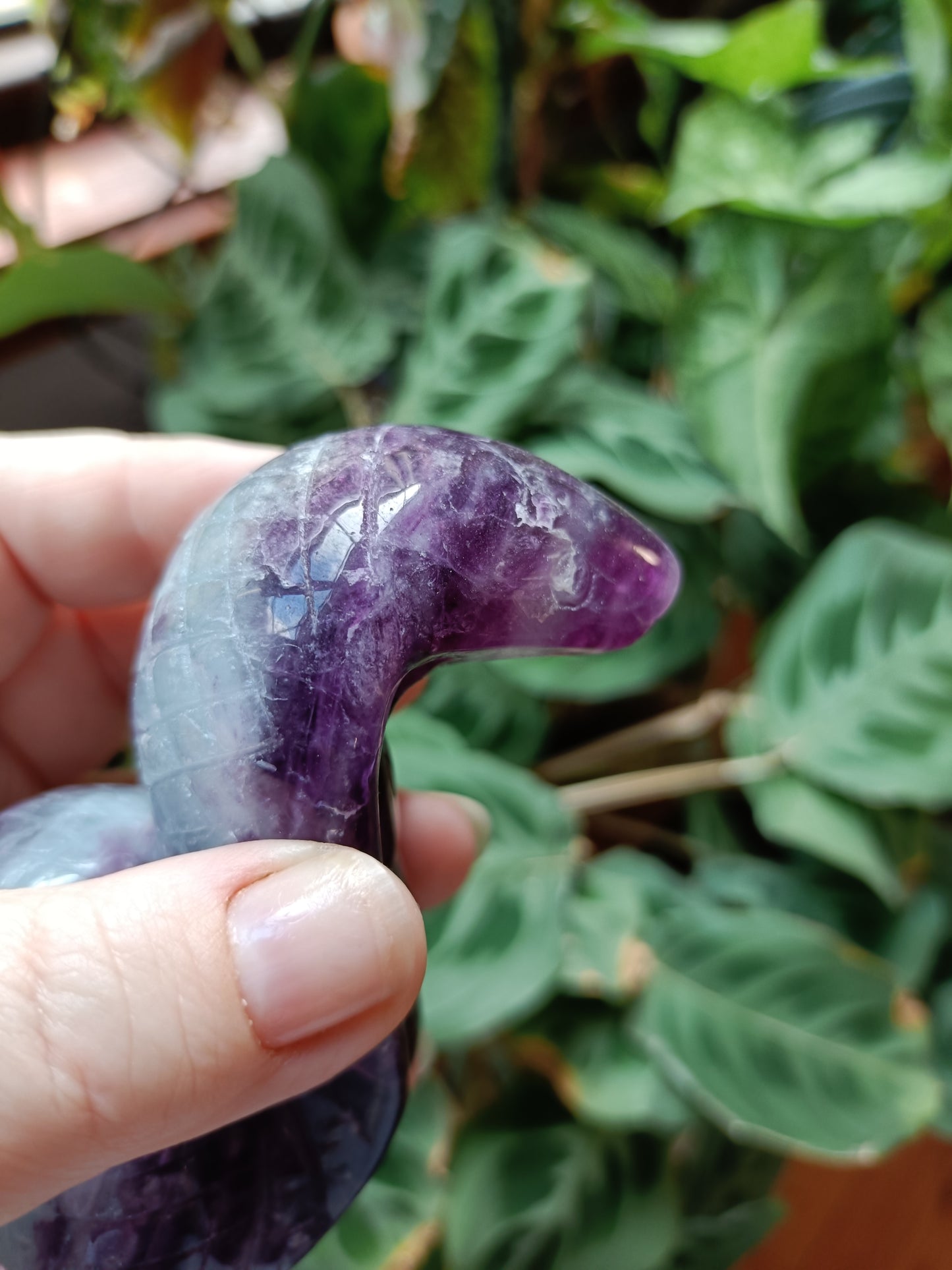 Rainbow Fluorite Cobra - 388g