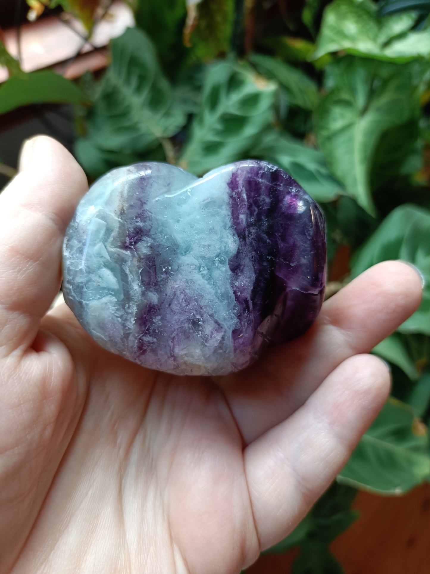 Rainbow Fluorite Cobra - 388g