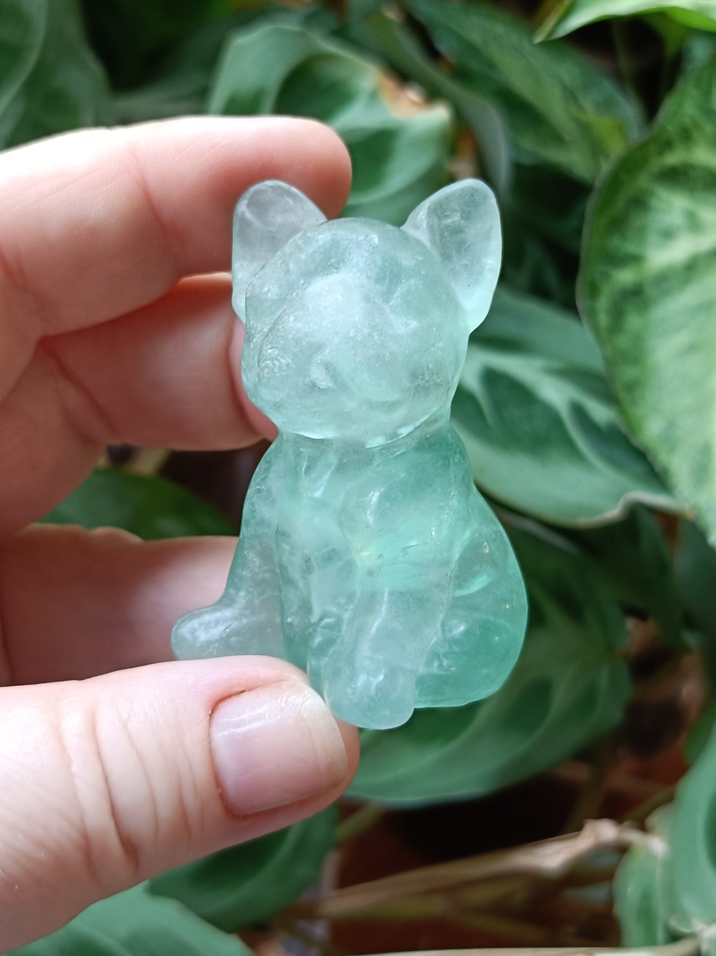 Green Fluorite French Bulldog Carving - 81