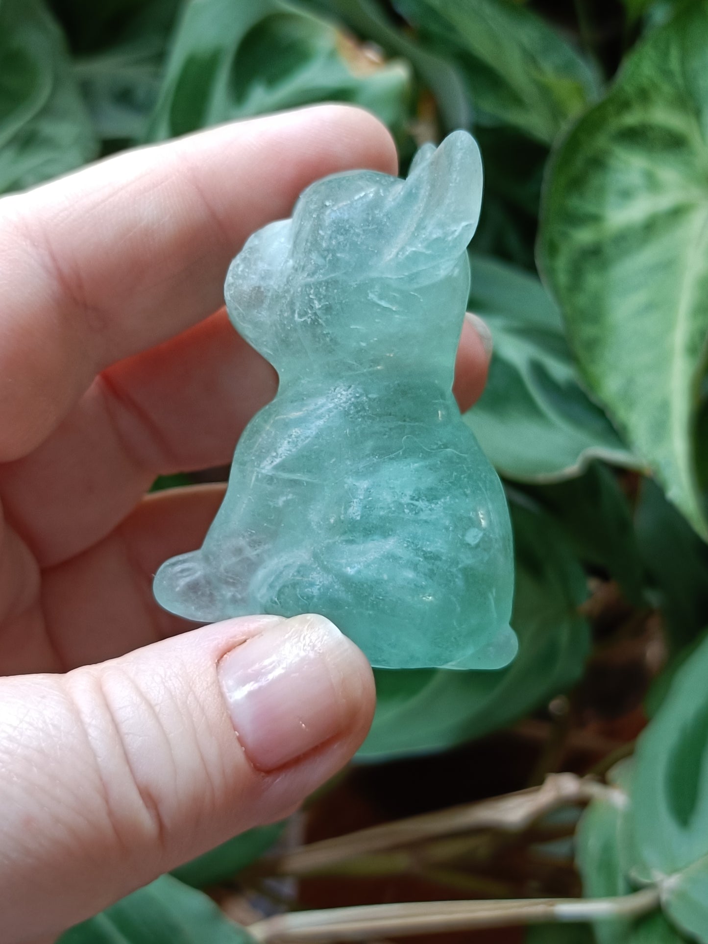 Green Fluorite French Bulldog Carving - 81