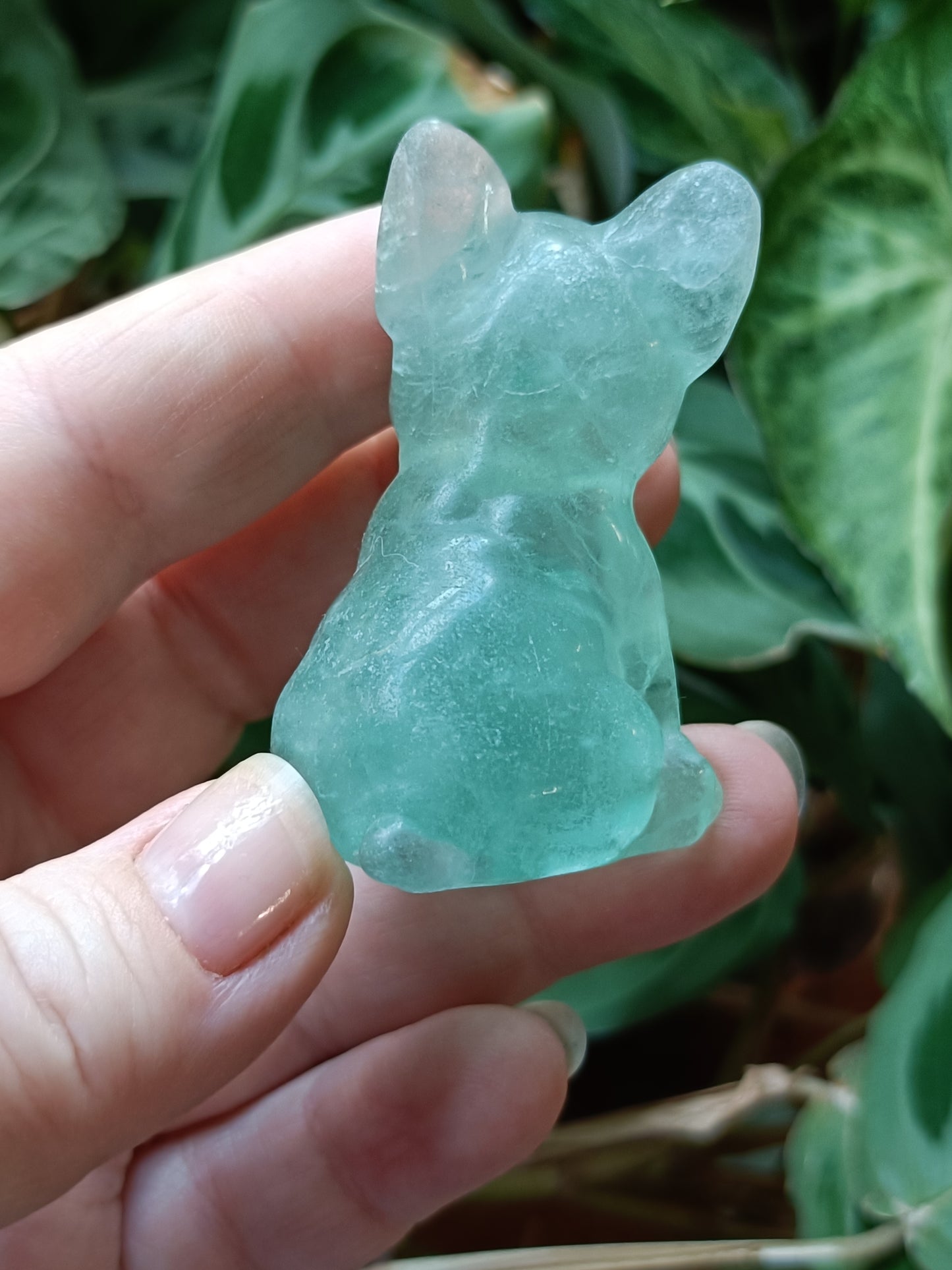 Green Fluorite French Bulldog Carving - 81