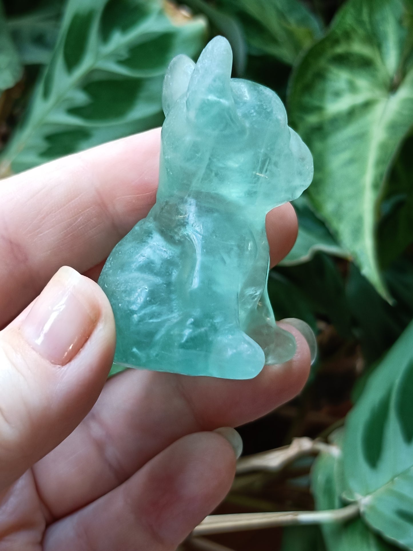 Green Fluorite French Bulldog Carving - 81
