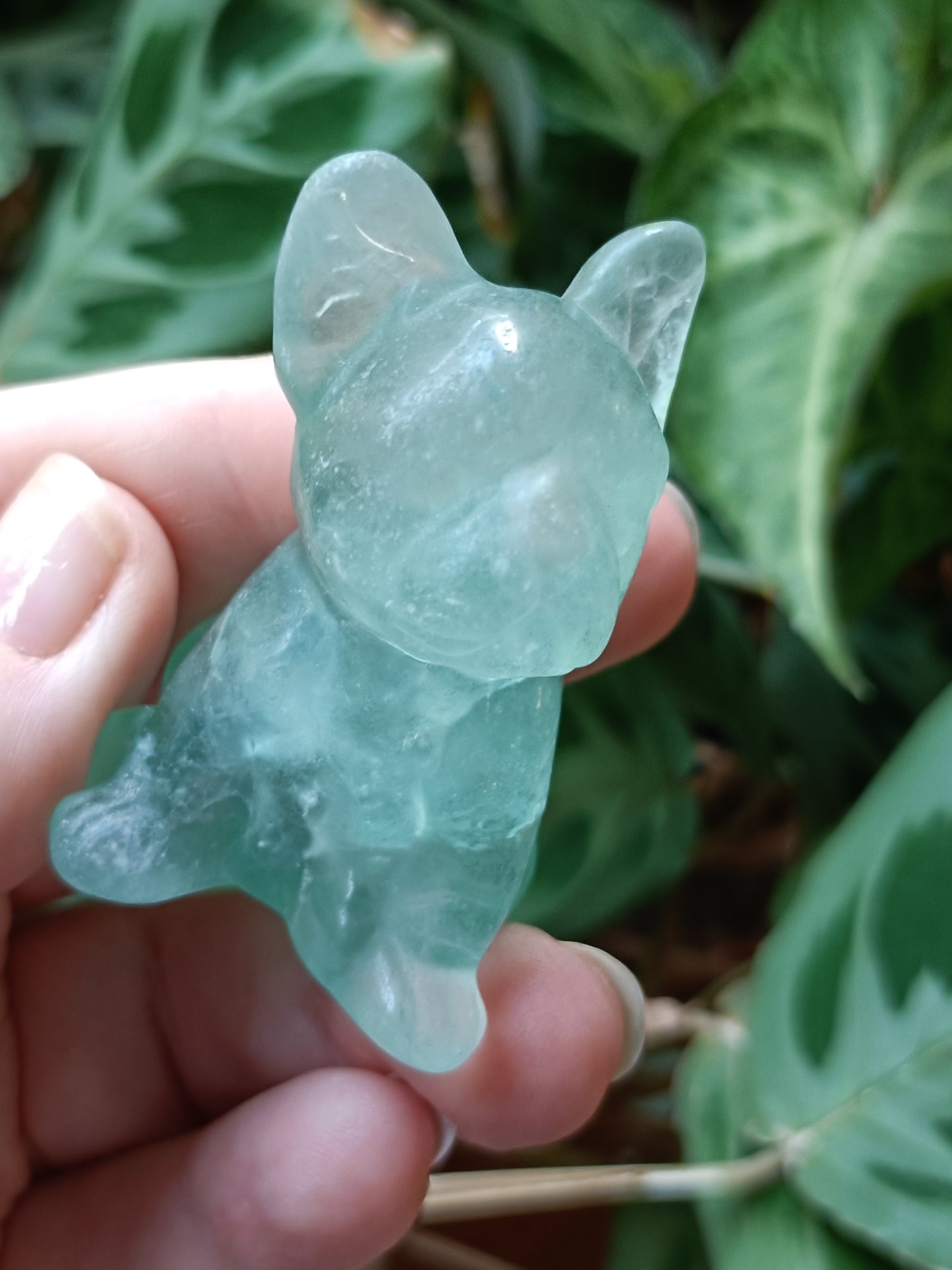 Green Fluorite French Bulldog Carving - 81