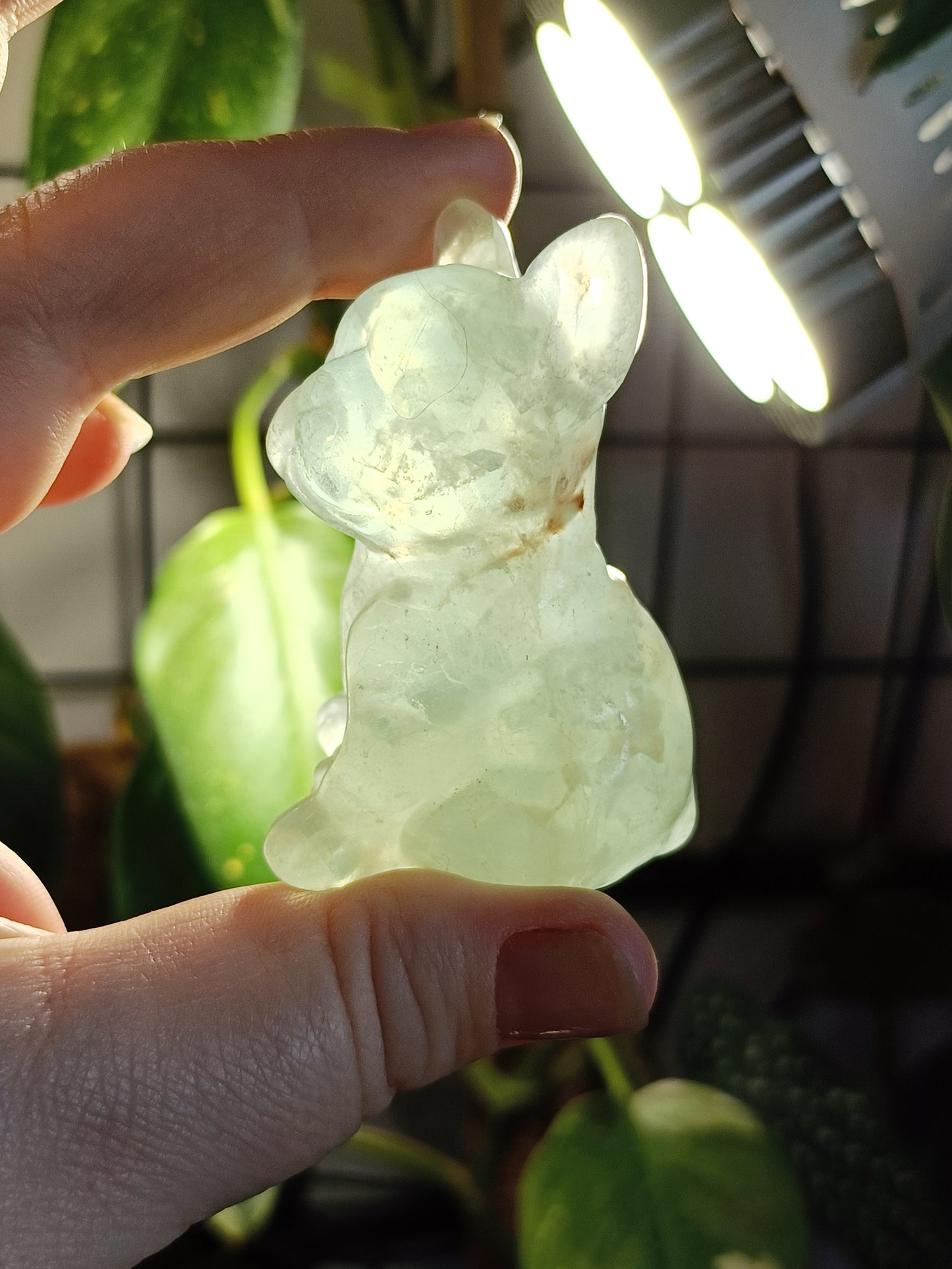 Green Fluorite French Bulldog Carving - 110g