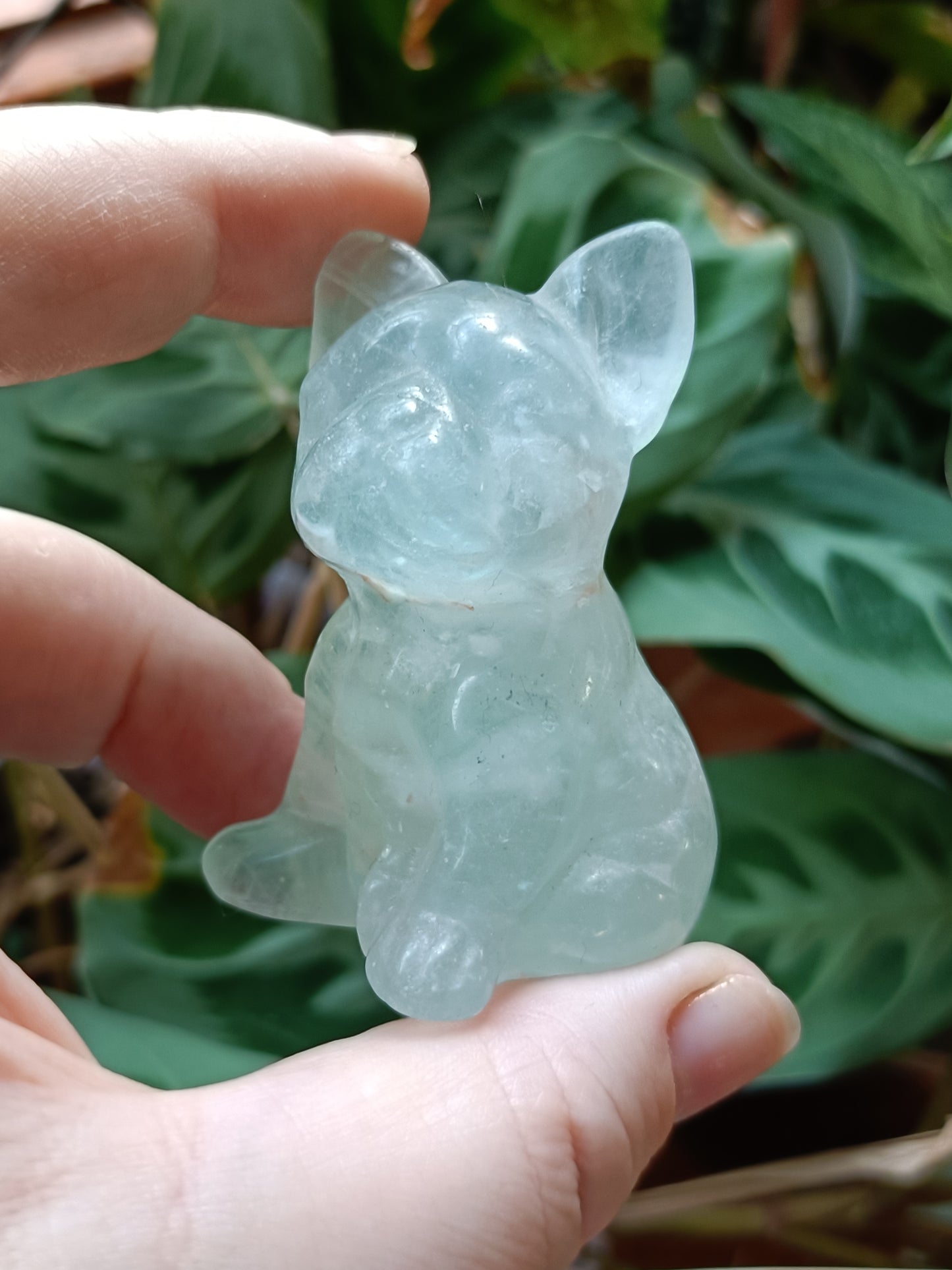 Green Fluorite French Bulldog Carving - 110g