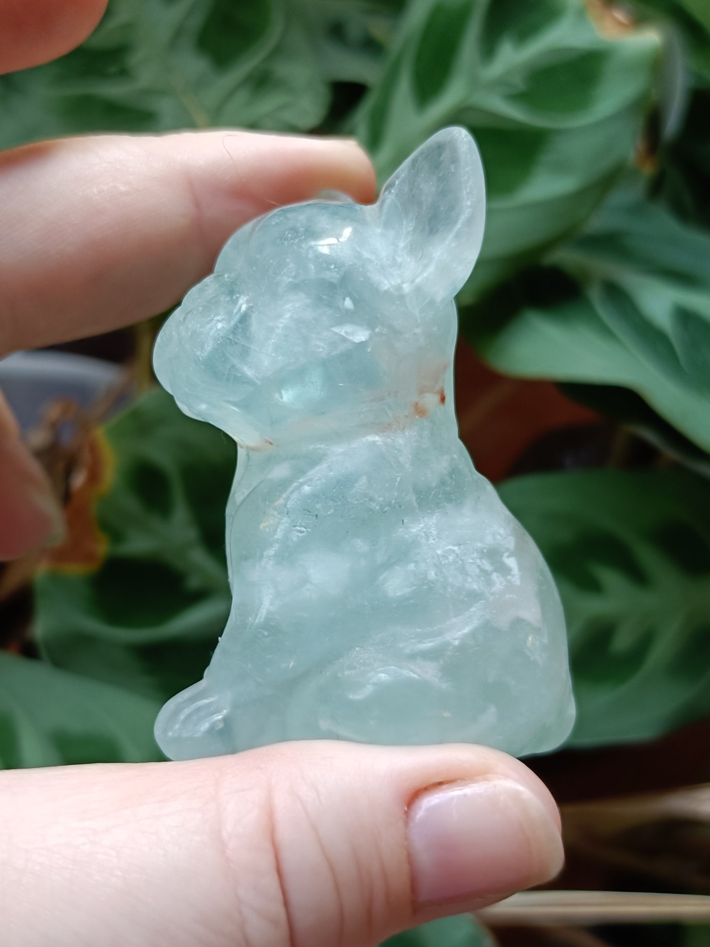 Green Fluorite French Bulldog Carving - 110g