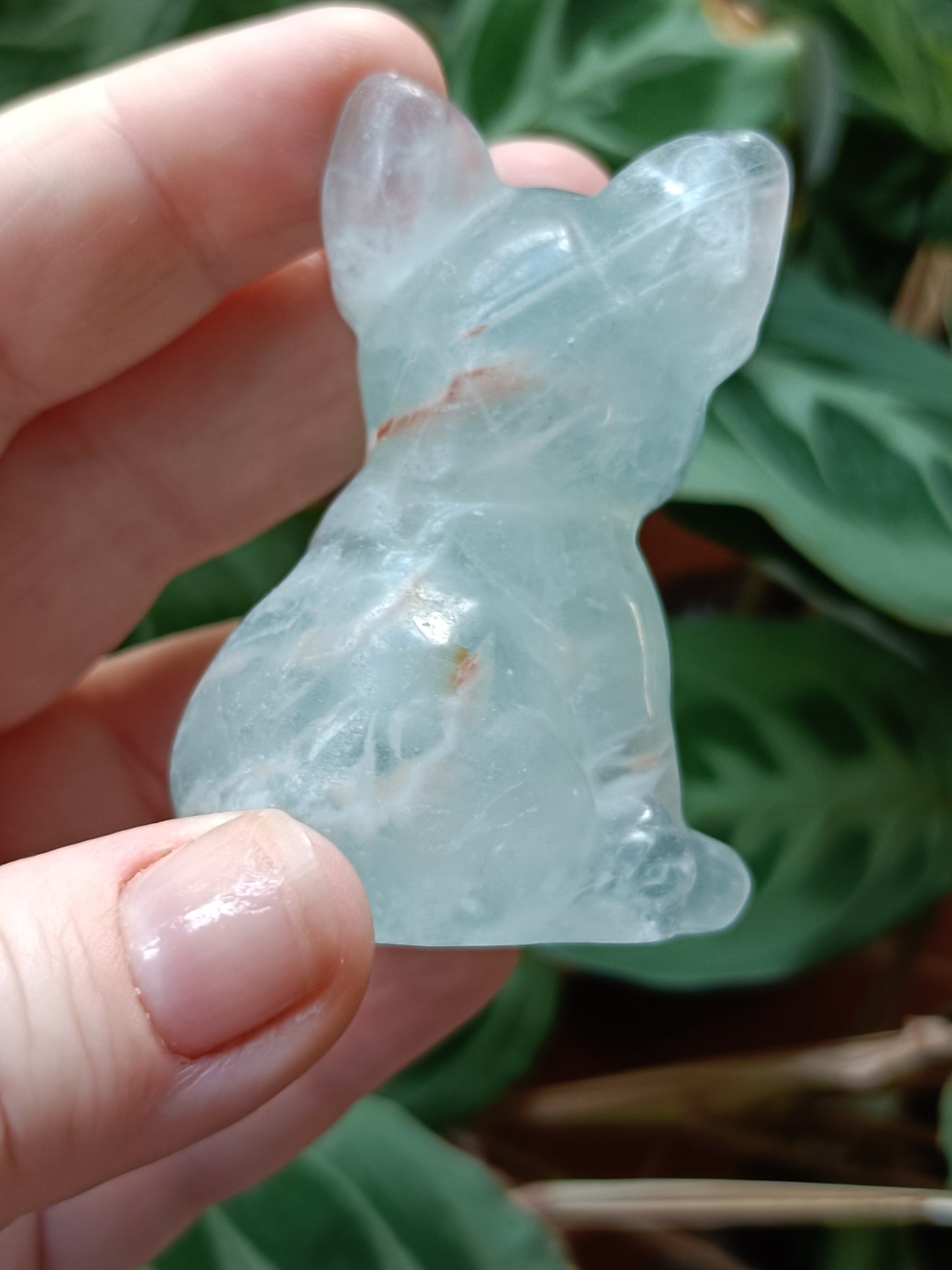 Green Fluorite French Bulldog Carving - 110g