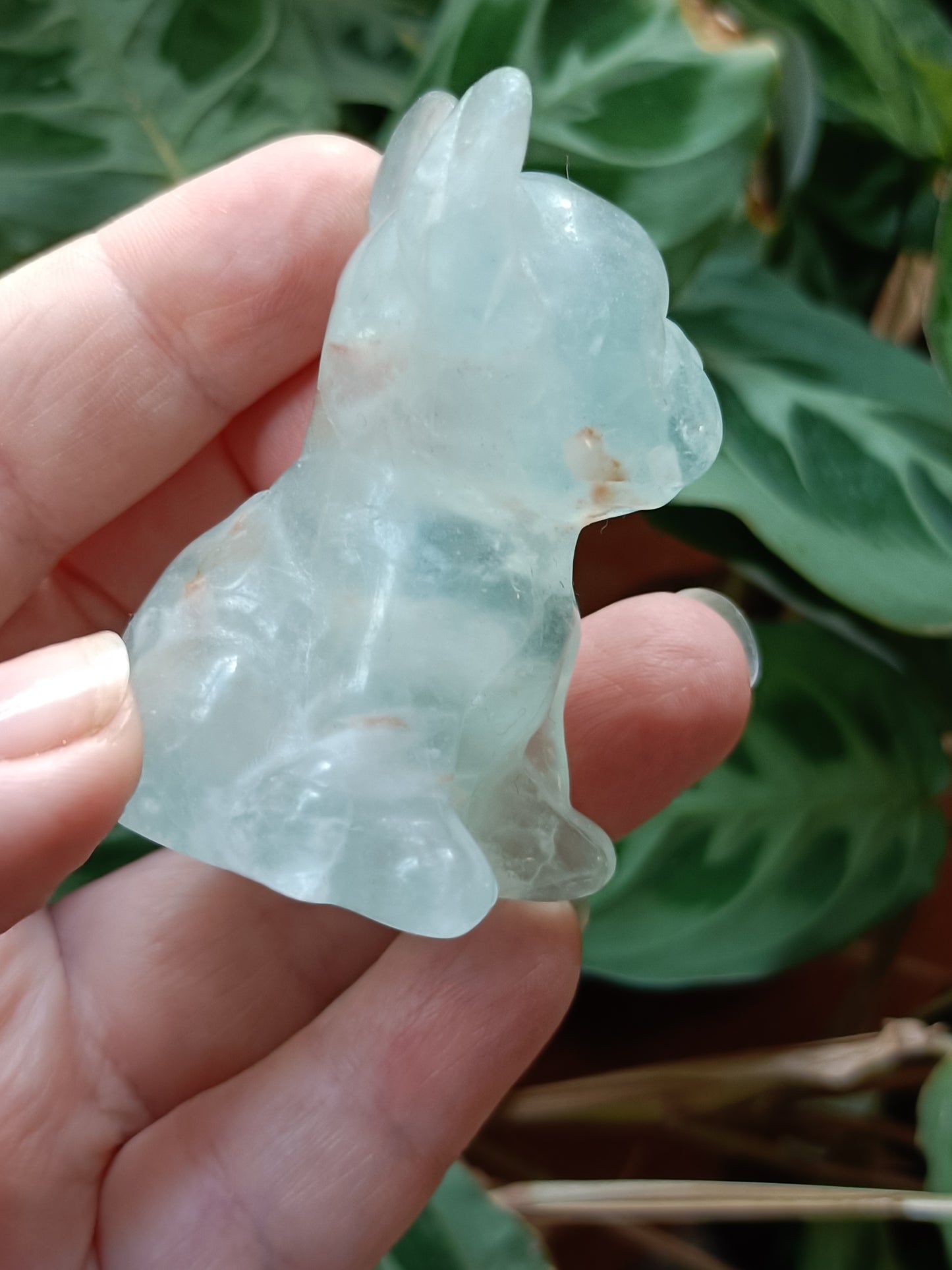 Green Fluorite French Bulldog Carving - 110g