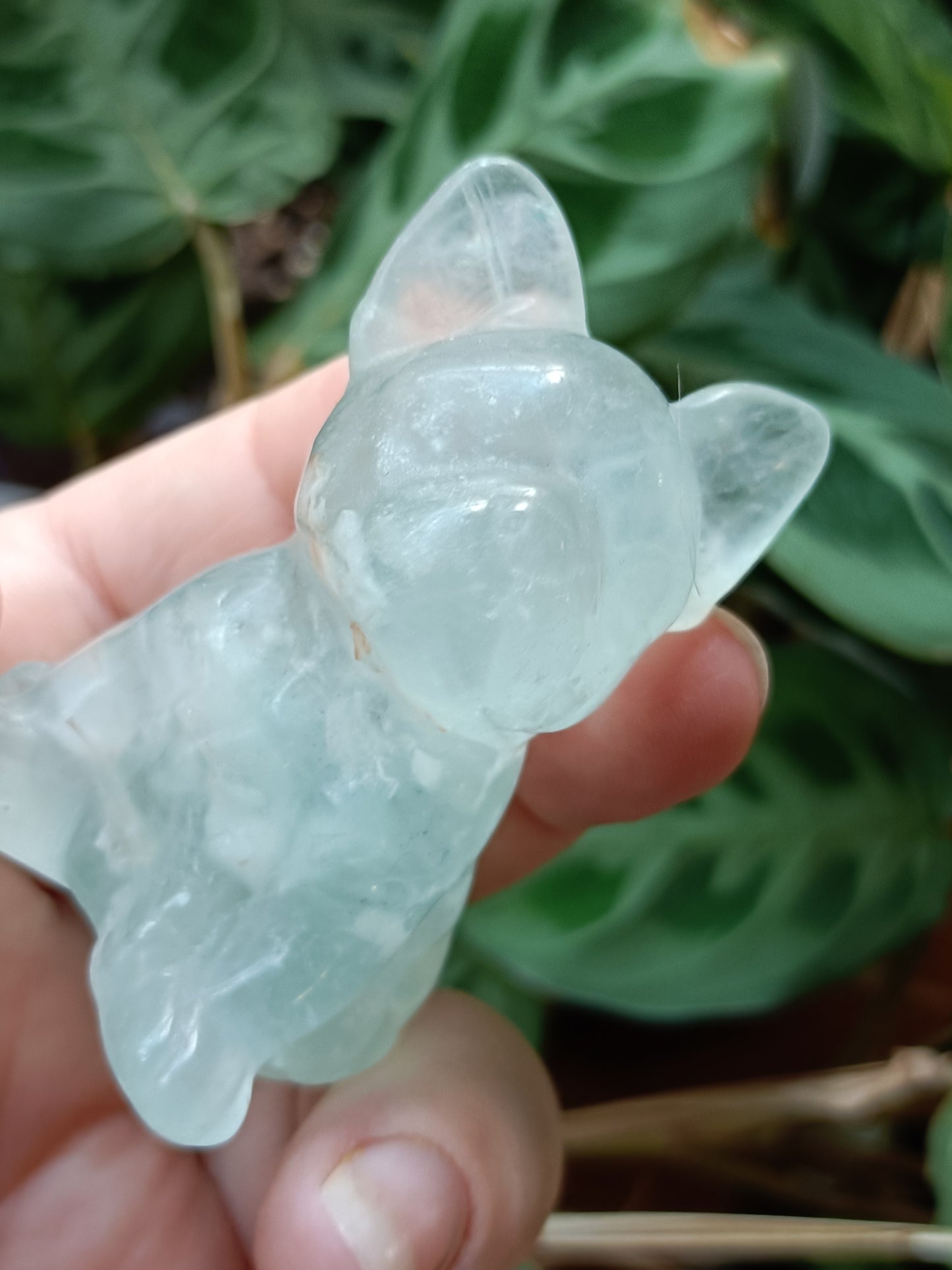 Green Fluorite French Bulldog Carving - 110g