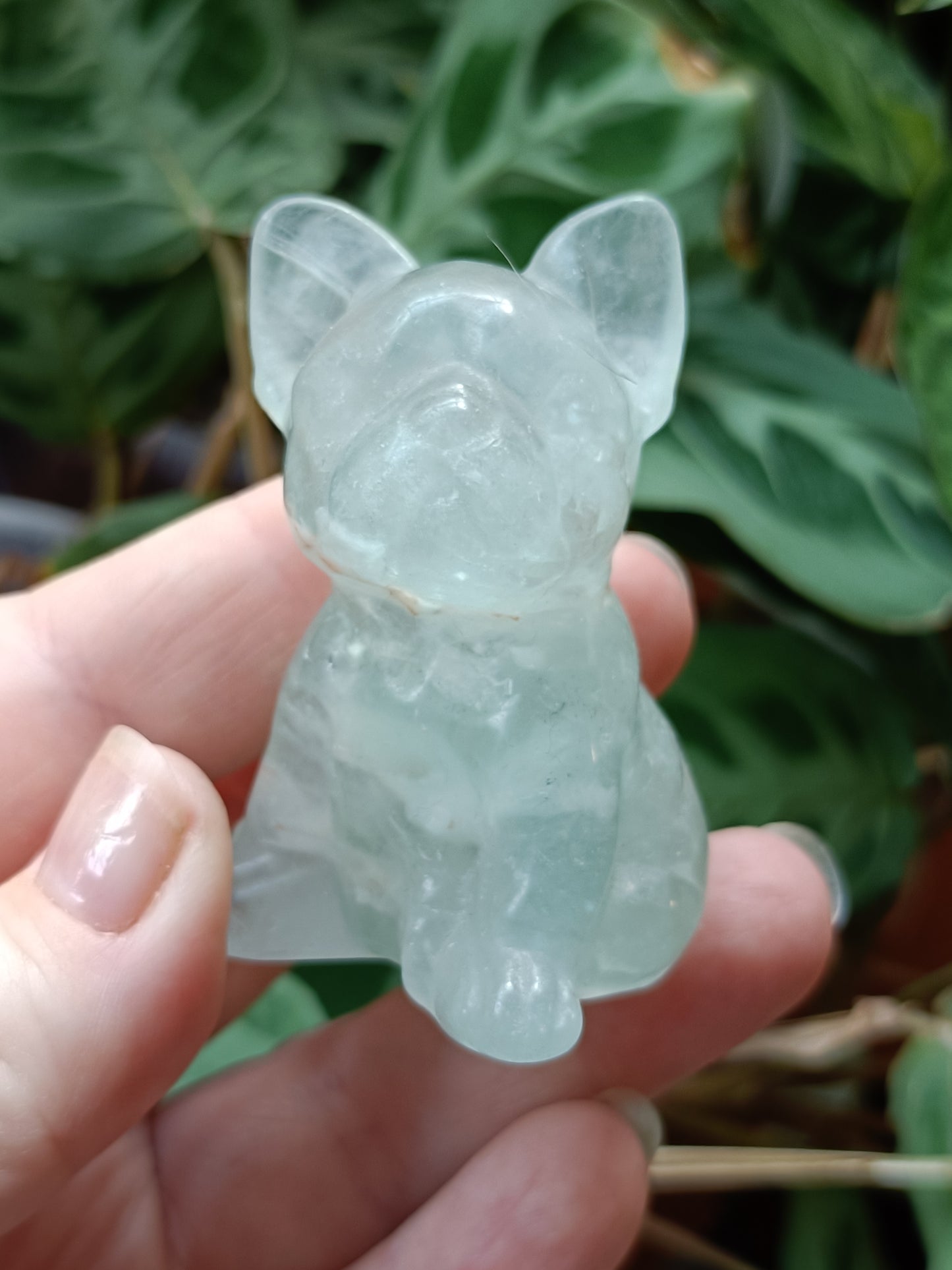 Green Fluorite French Bulldog Carving - 110g