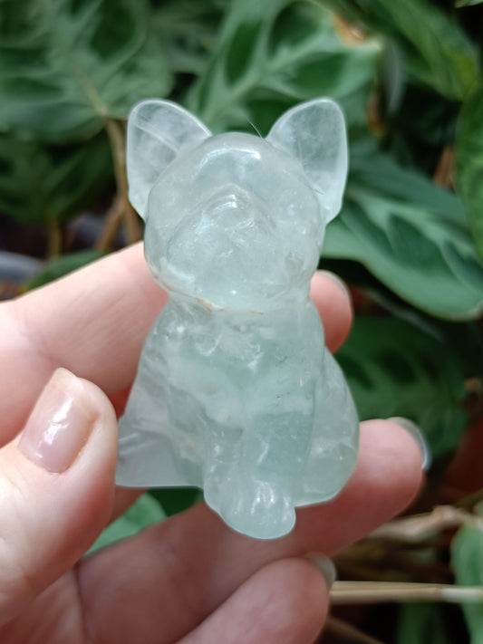 Green Fluorite French Bulldog Carving - 110g