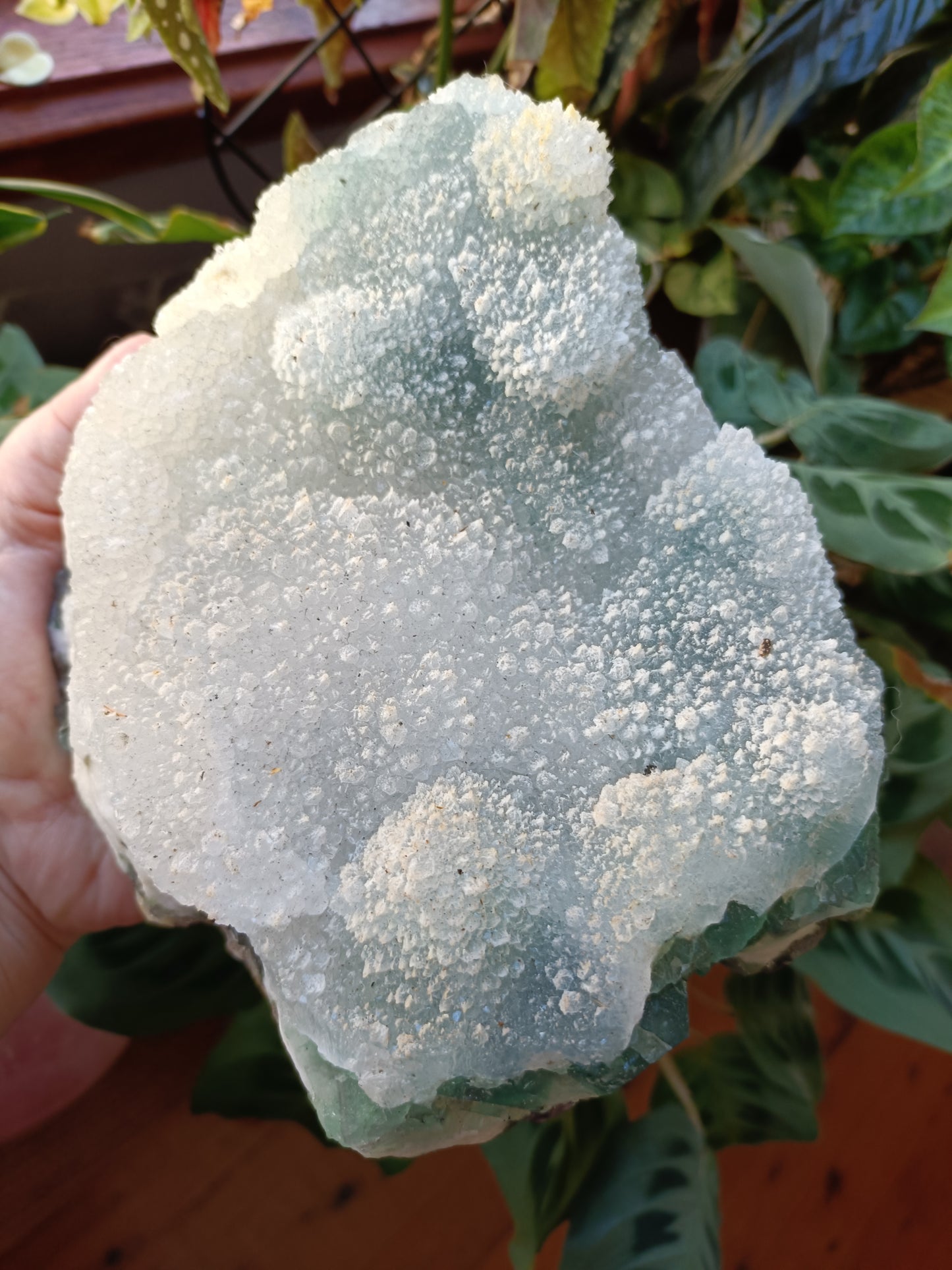 Green Sugar Fluorite and Quartz Specimen - 2369g (2.72kg including stand)