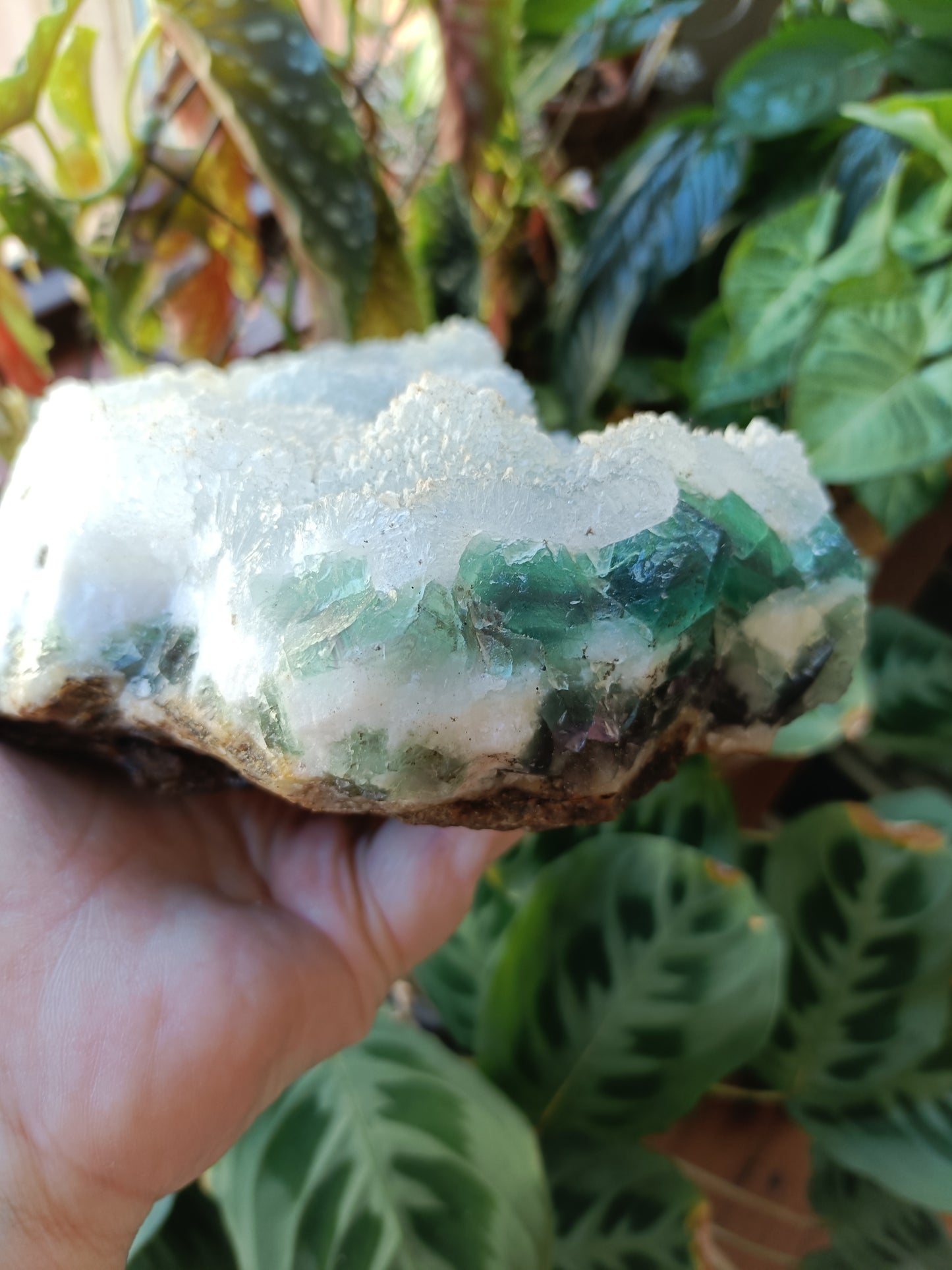 Green Sugar Fluorite and Quartz Specimen - 2369g (2.72kg including stand)