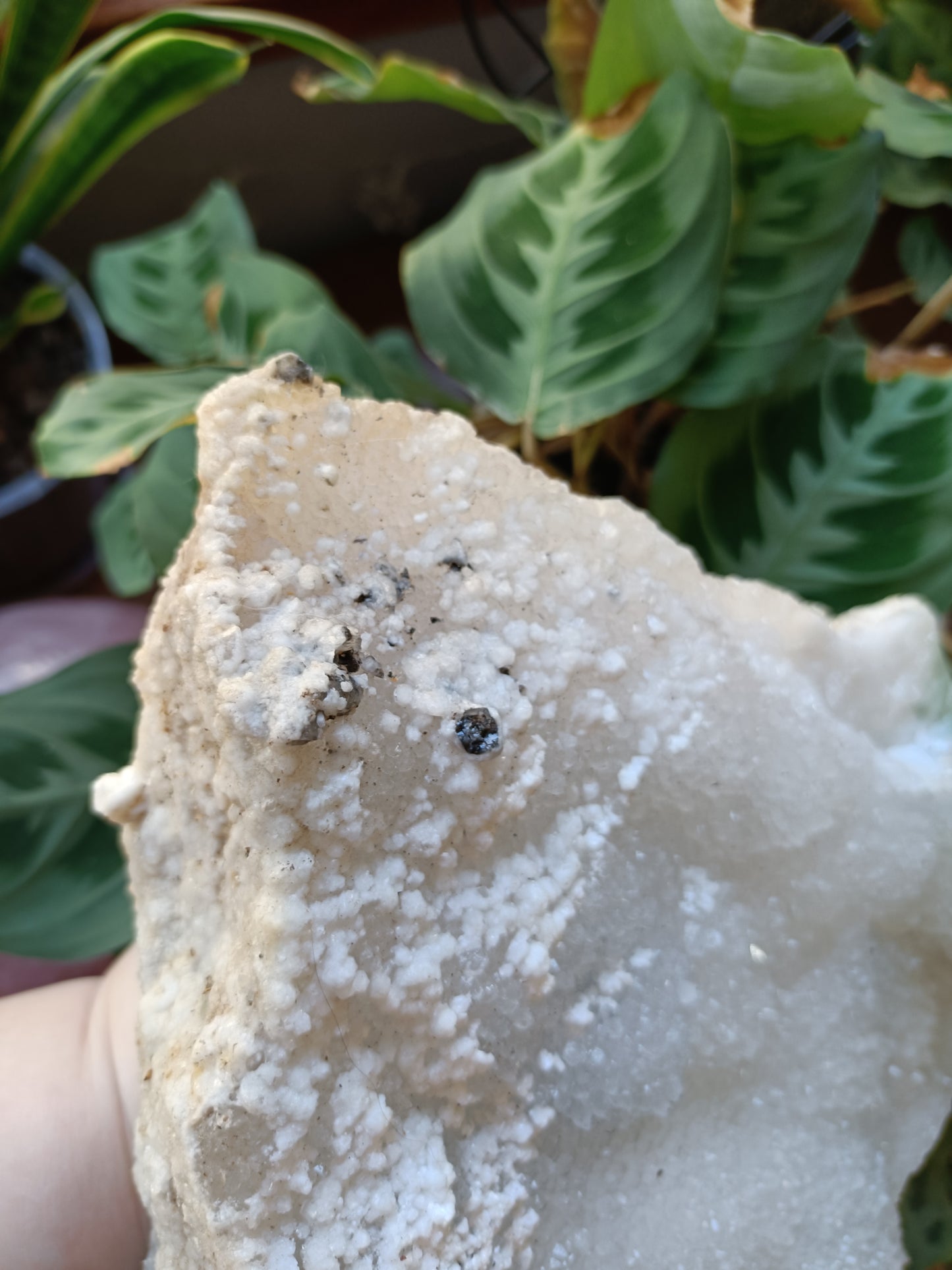 Green Sugar Fluorite and Quartz Specimen - 4078g (4.48kg including stand)
