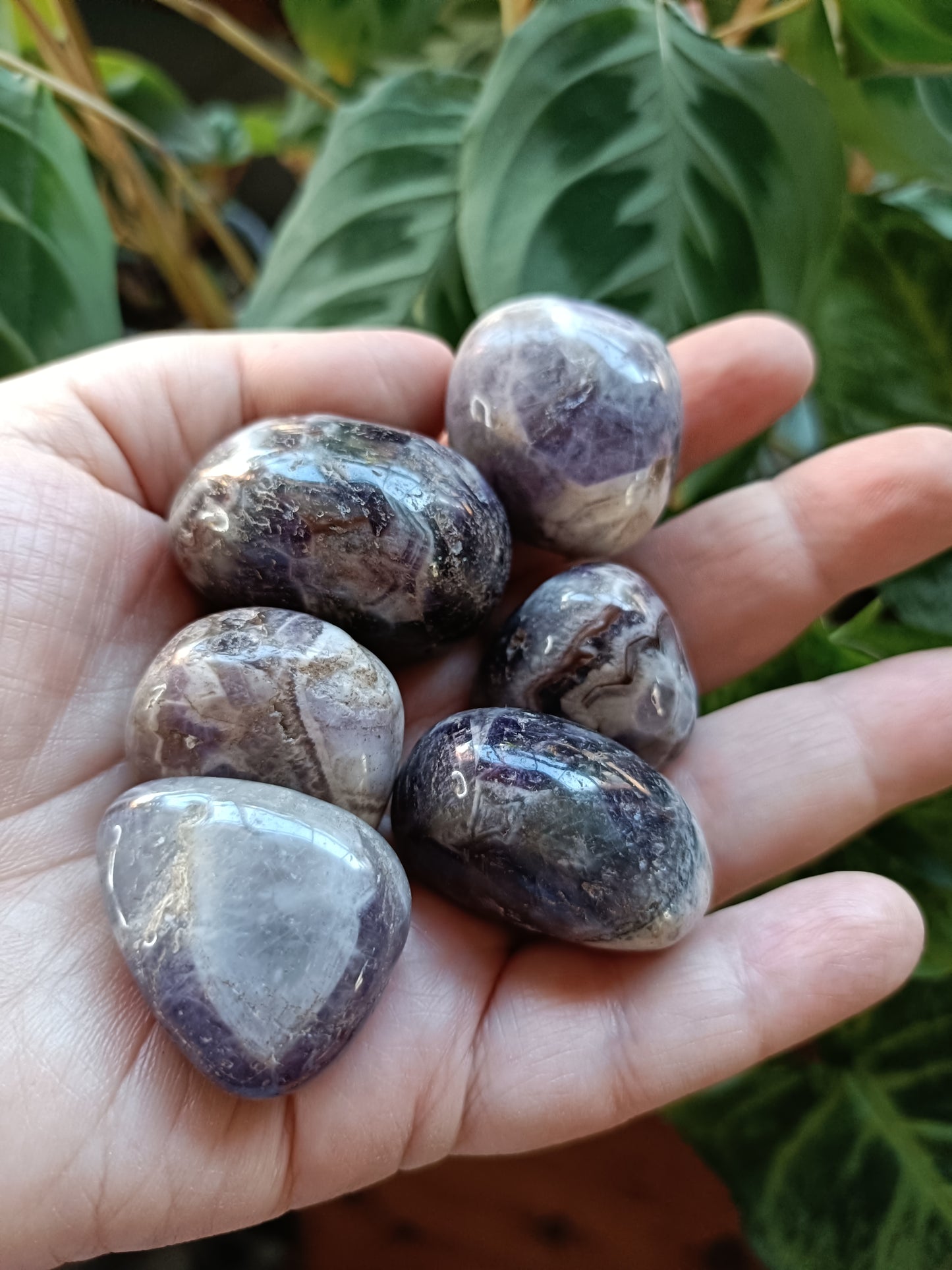 Smokey Amethyst Tumbles - 20-50g