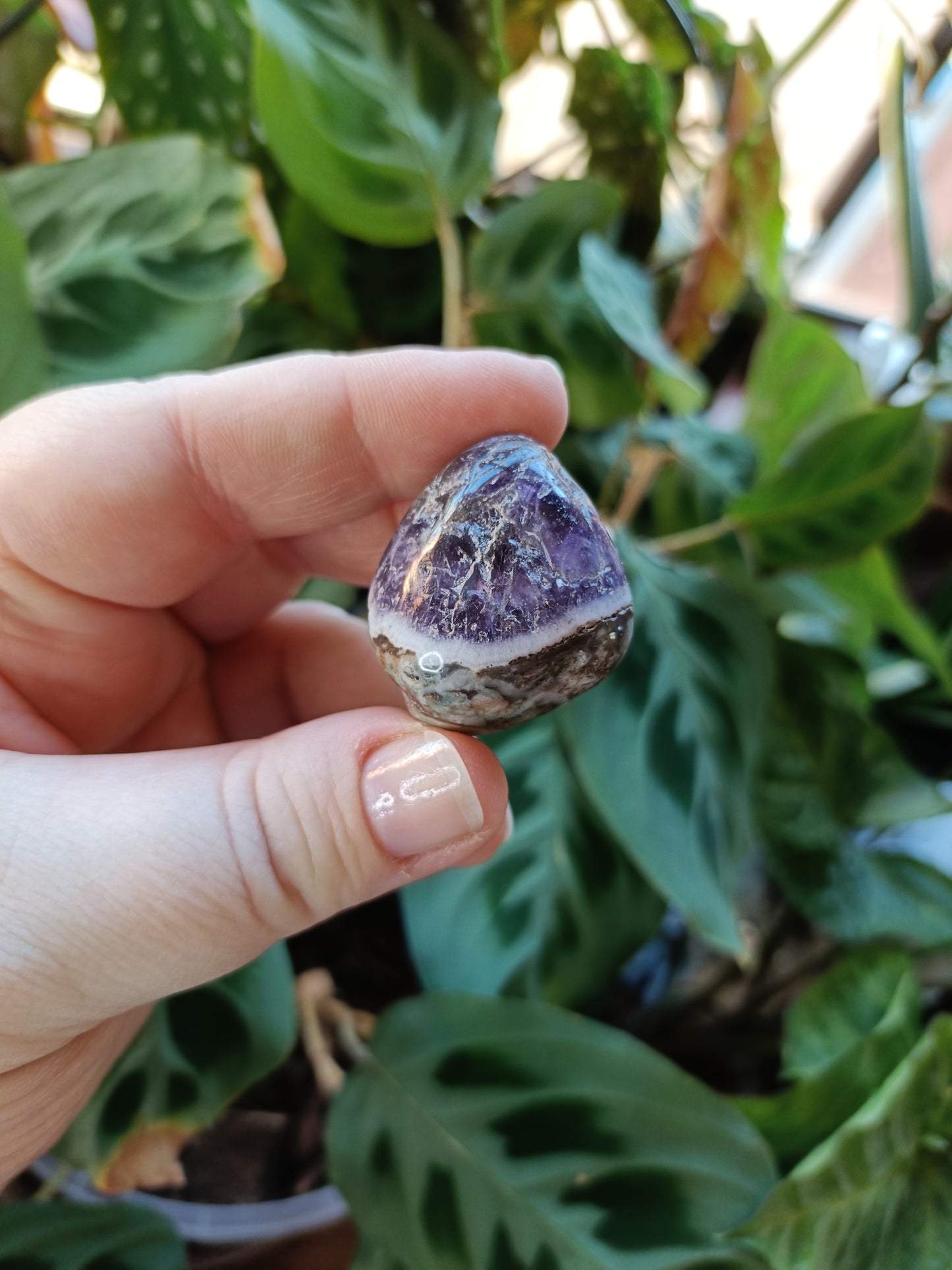 Smokey Amethyst Tumbles - 20-50g