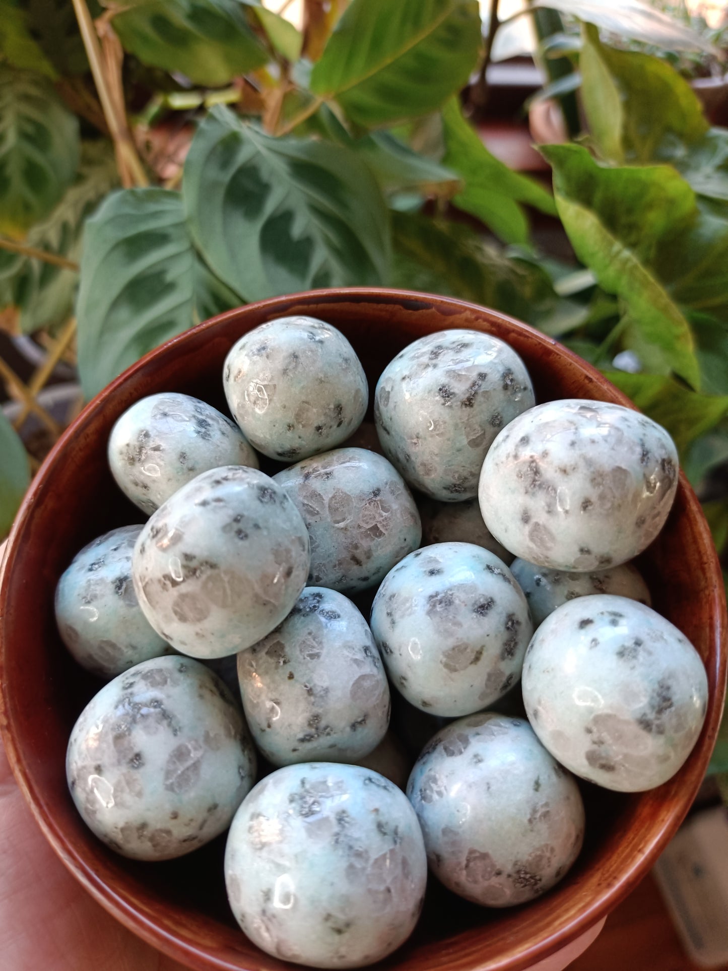 Kiwi Jasper Tumbles - 15-25g