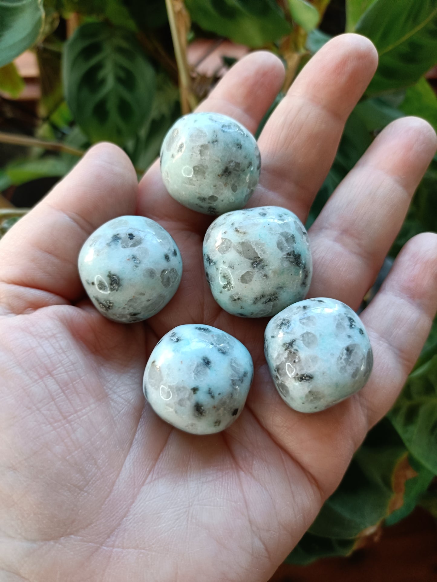 Kiwi Jasper Tumbles - 15-25g