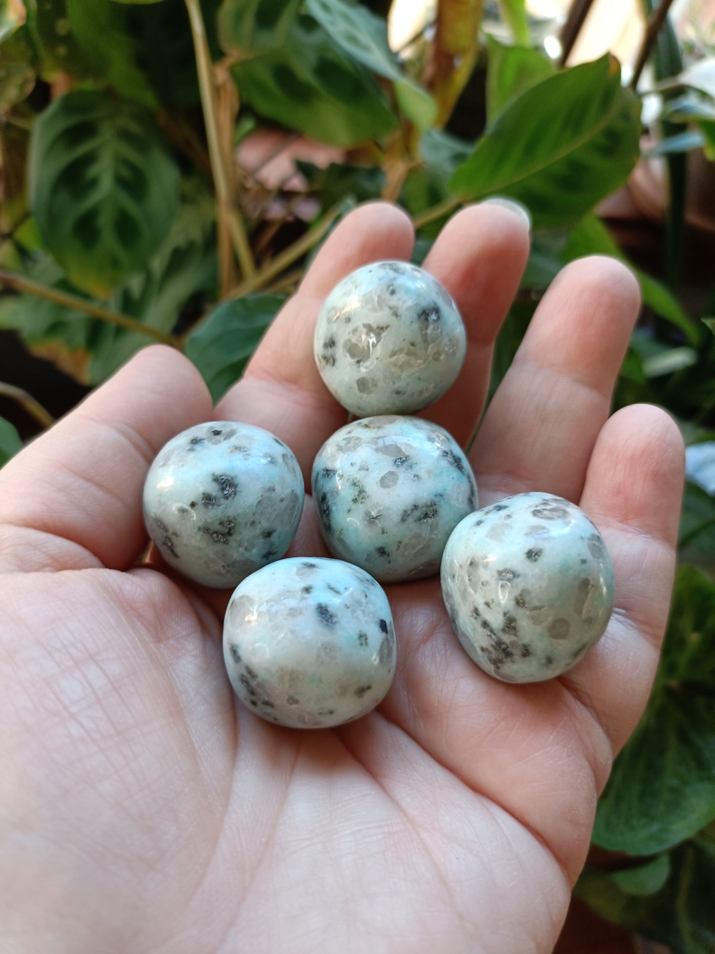 Kiwi Jasper Tumbles - 15-25g