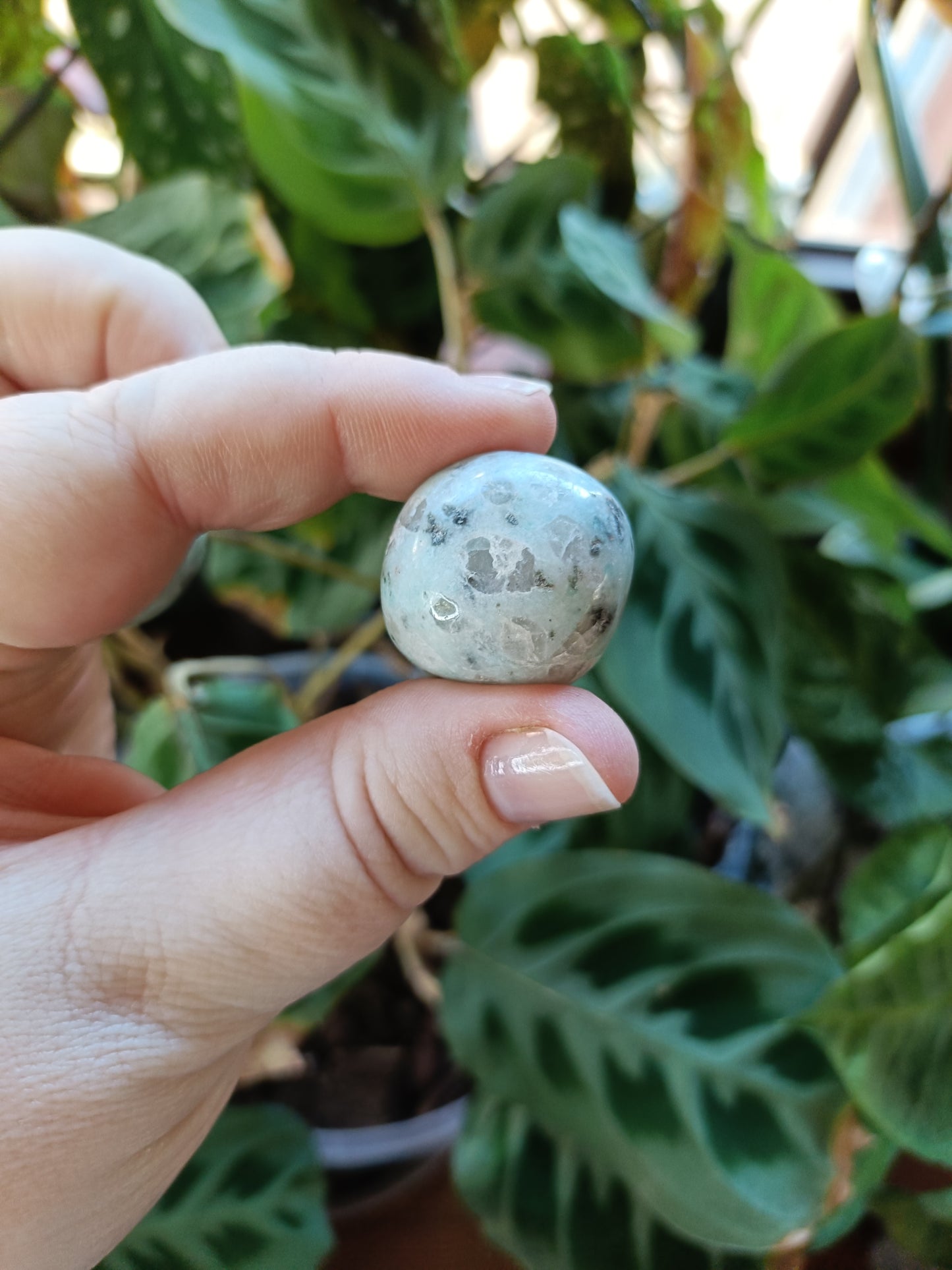 Kiwi Jasper Tumbles - 15-25g
