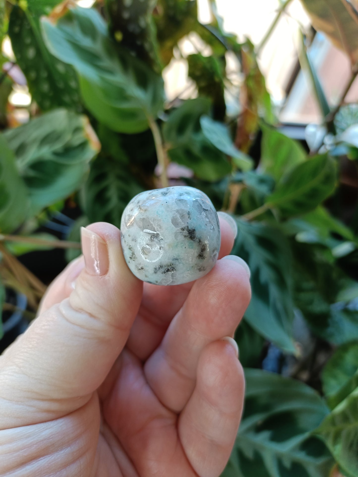Kiwi Jasper Tumbles - 15-25g