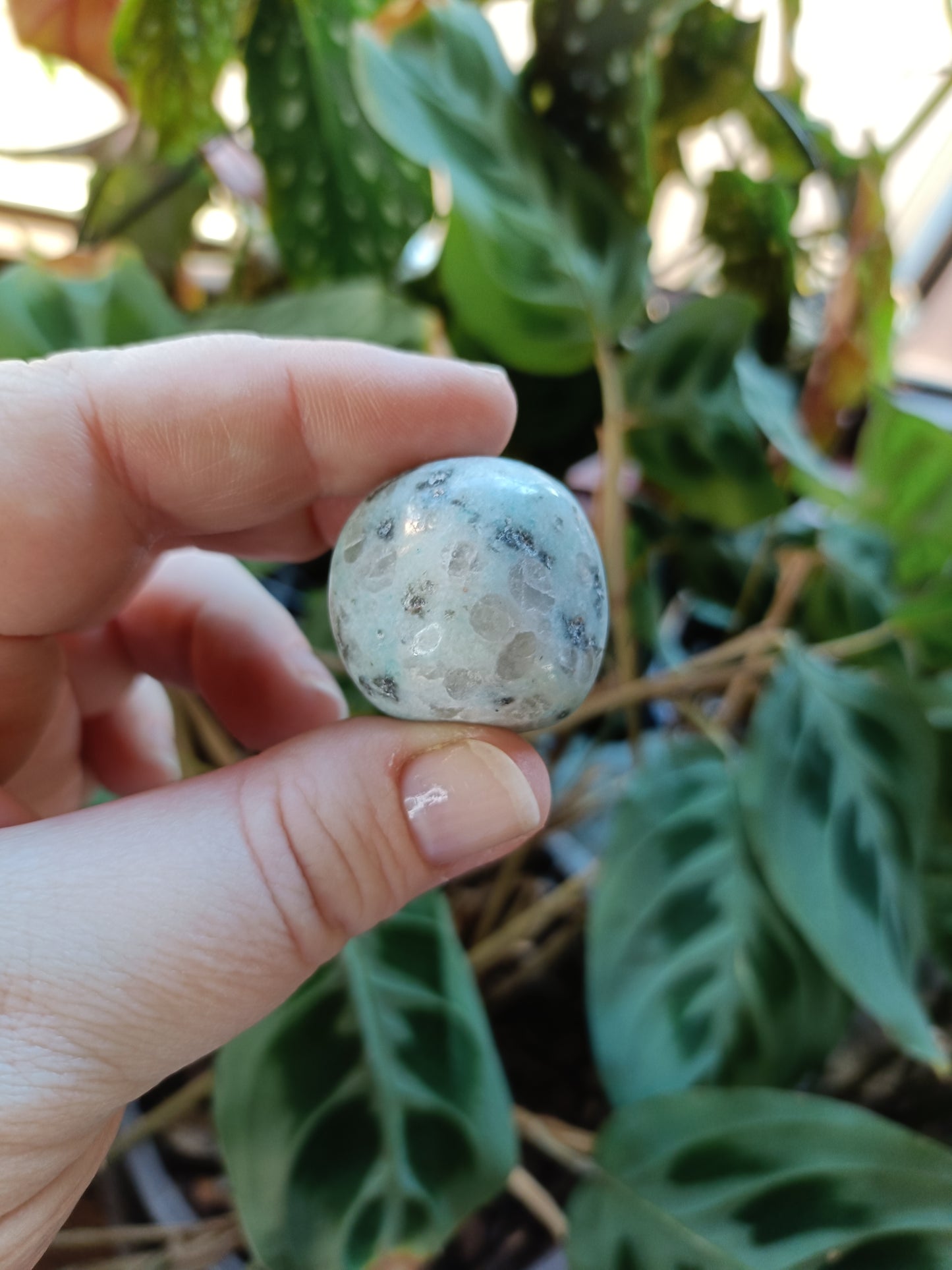 Kiwi Jasper Tumbles - 15-25g