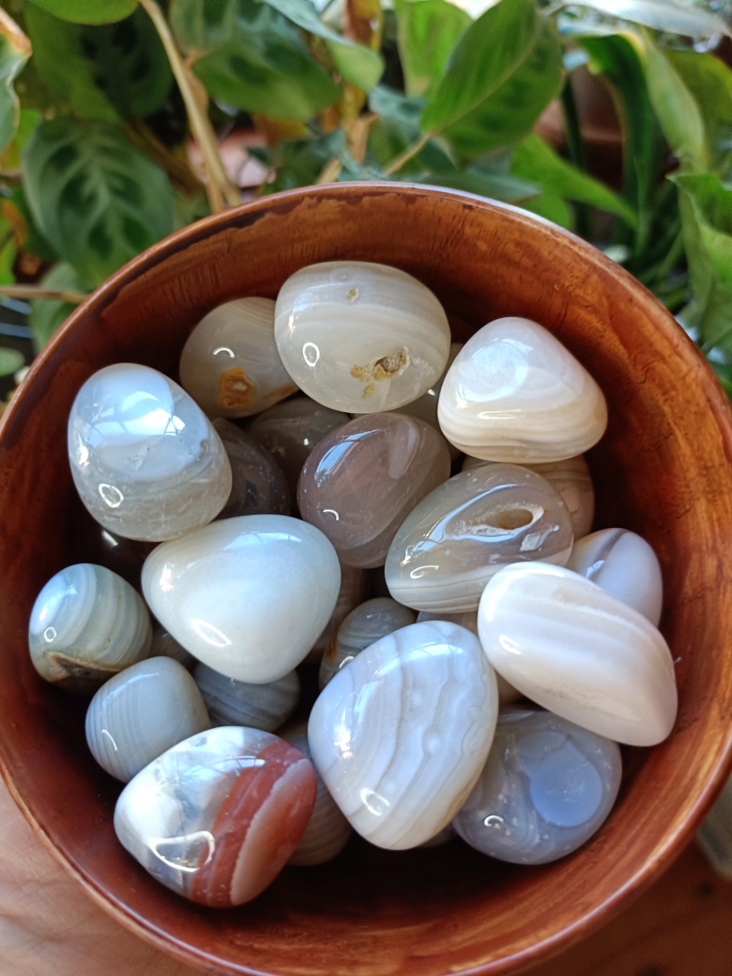 Botswana Agate Tumbles - 10-30g