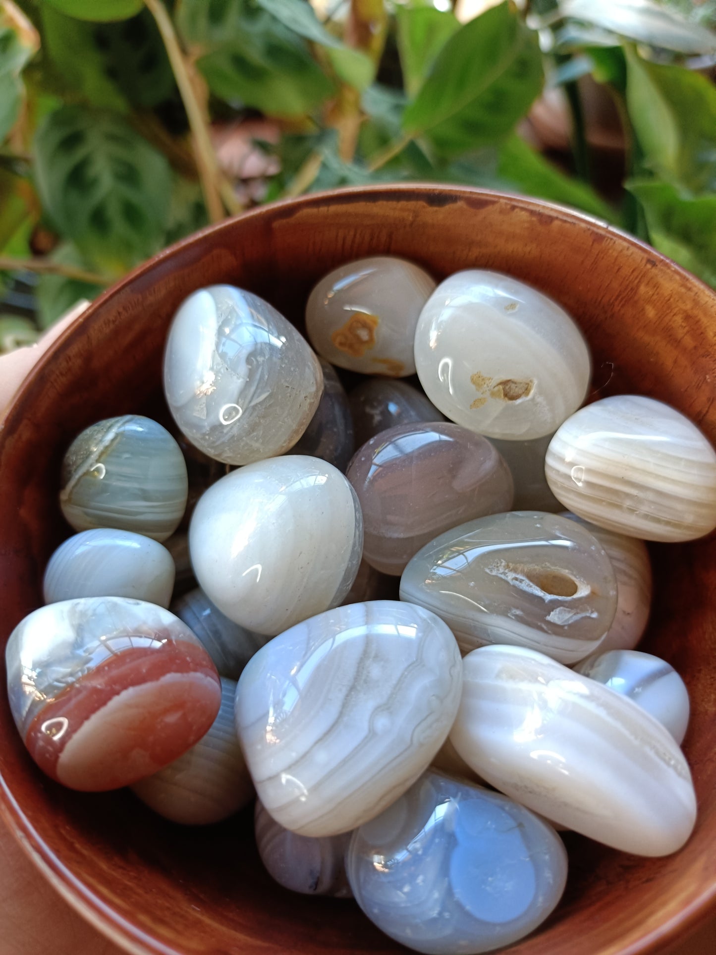 Botswana Agate Tumbles - 10-30g