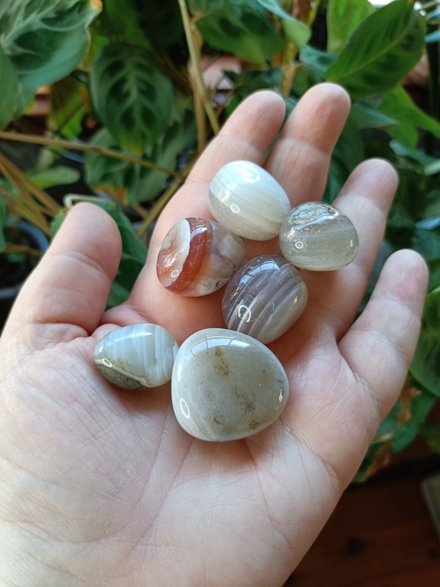 Botswana Agate Tumbles - 10-30g