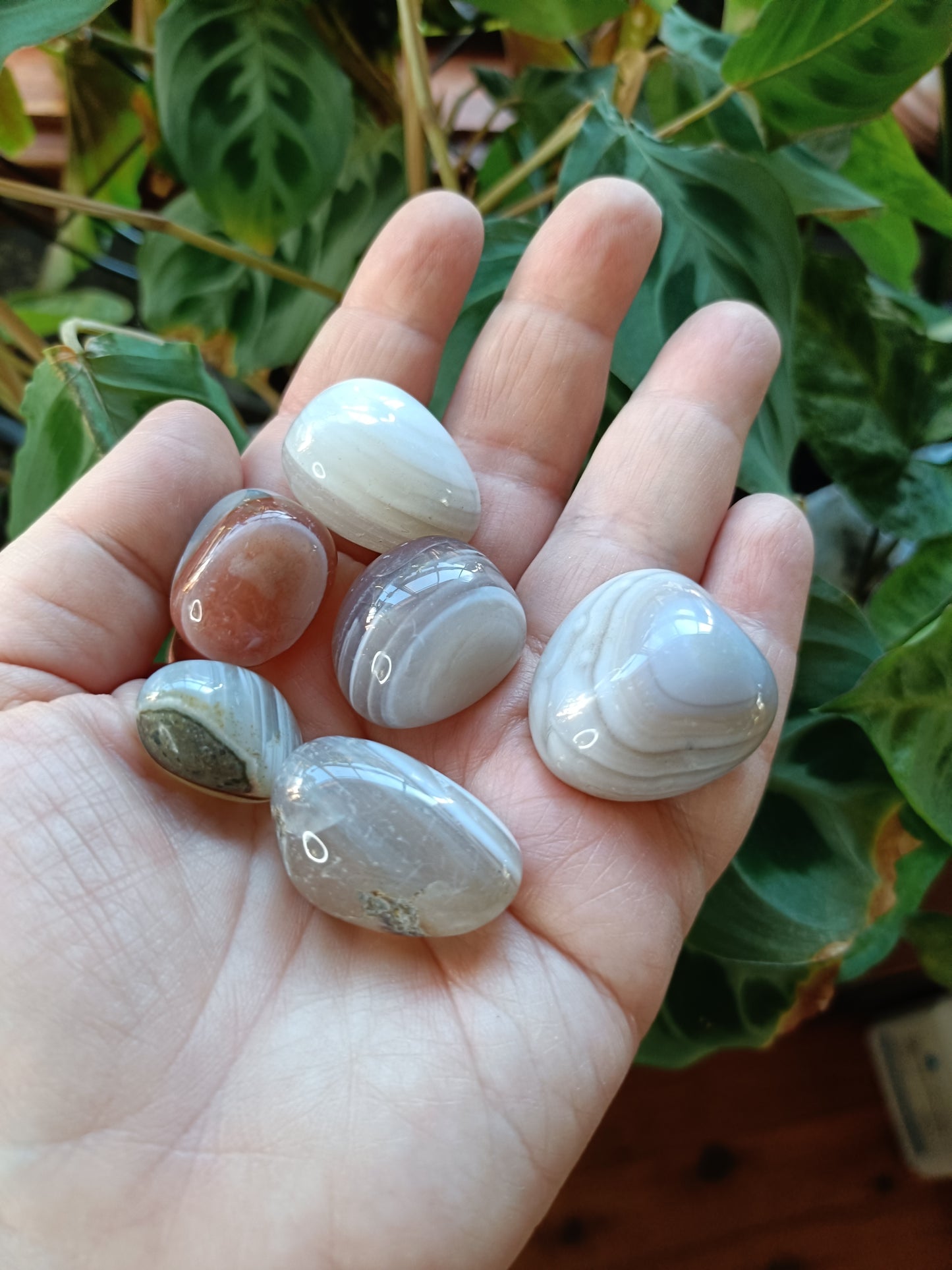 Botswana Agate Tumbles - 10-30g